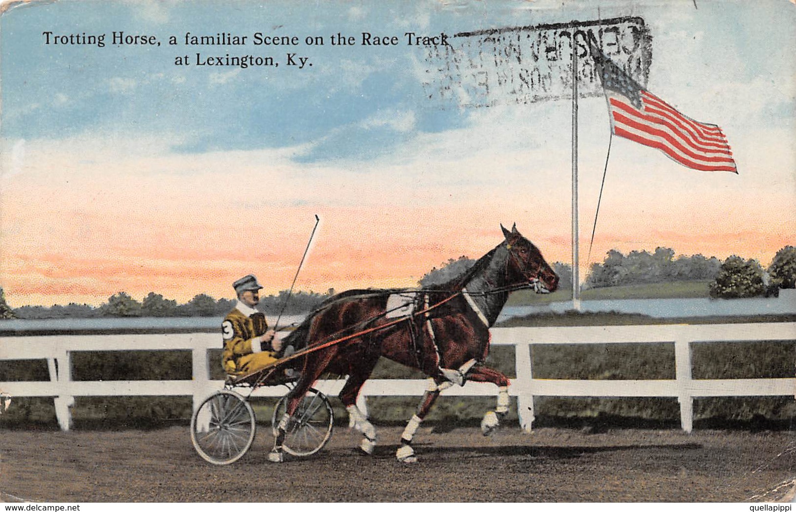 010375 "LEXINGTON - TROTTING HORSE A FANILIAR ON THE RACE TRECK" ANIMATA, CAVALLO.  CART SPED 1917 - Lexington