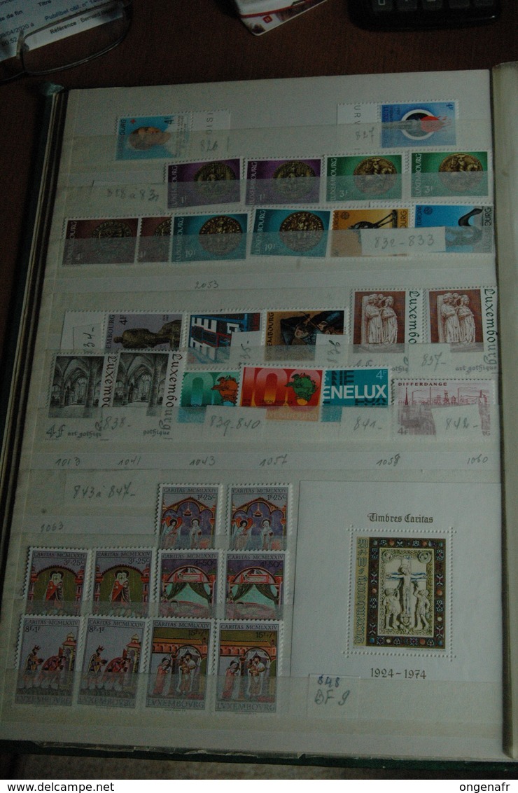 Classeur de 24 pages de stock ( timbres **) début pas compté--   de 1970 à 1999 (Prifix, Côte 2009 : 2105€)