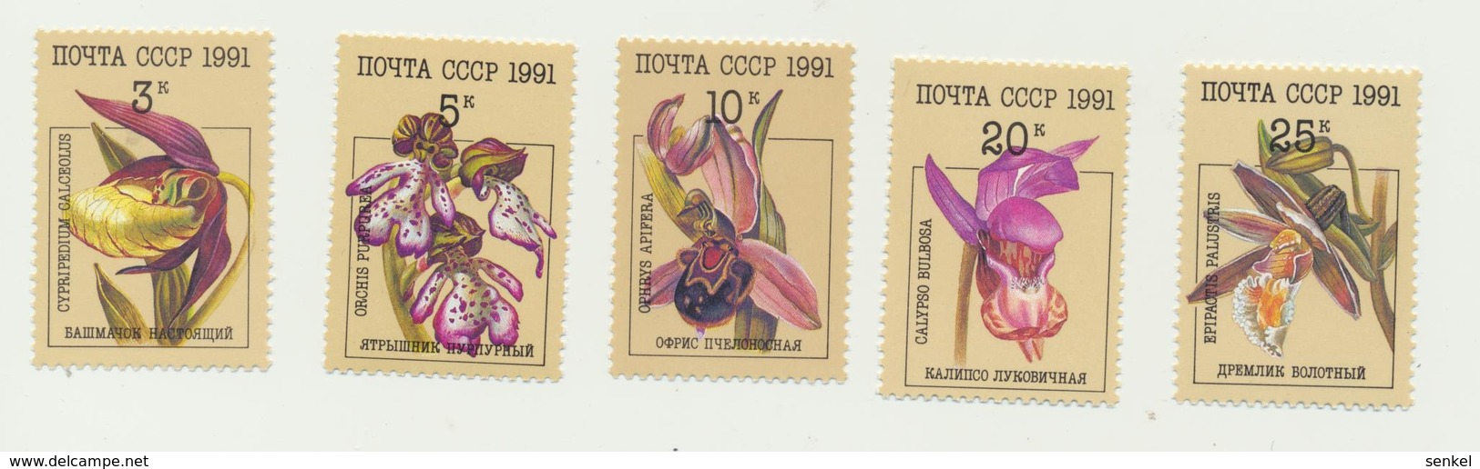 713 USSR 1991 Mi 6192-96 1,0 € Mint Flowers - Other & Unclassified