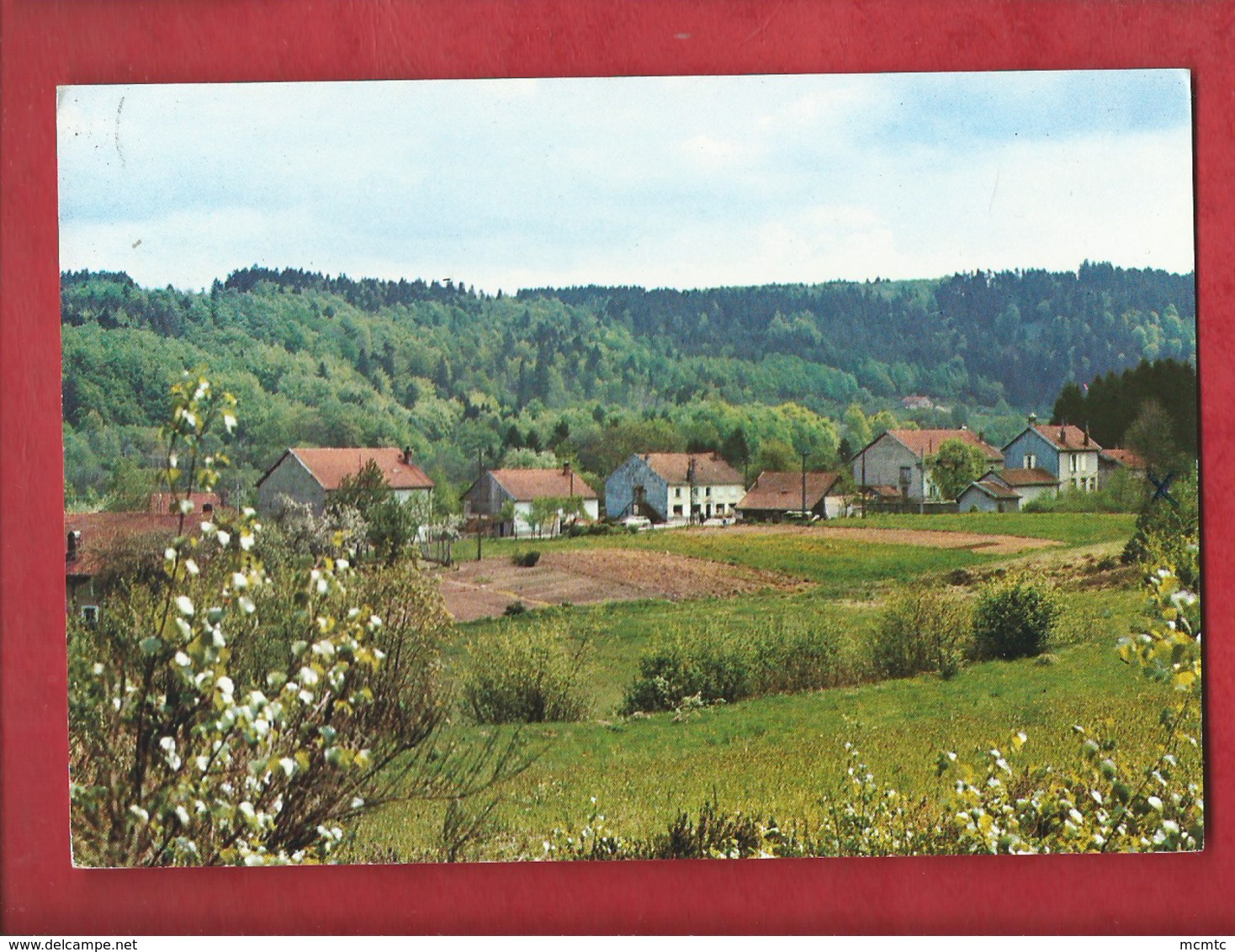 CPM -  88 - Granges Sur Vologne - Village De Montagne - Les Evelines - Granges Sur Vologne