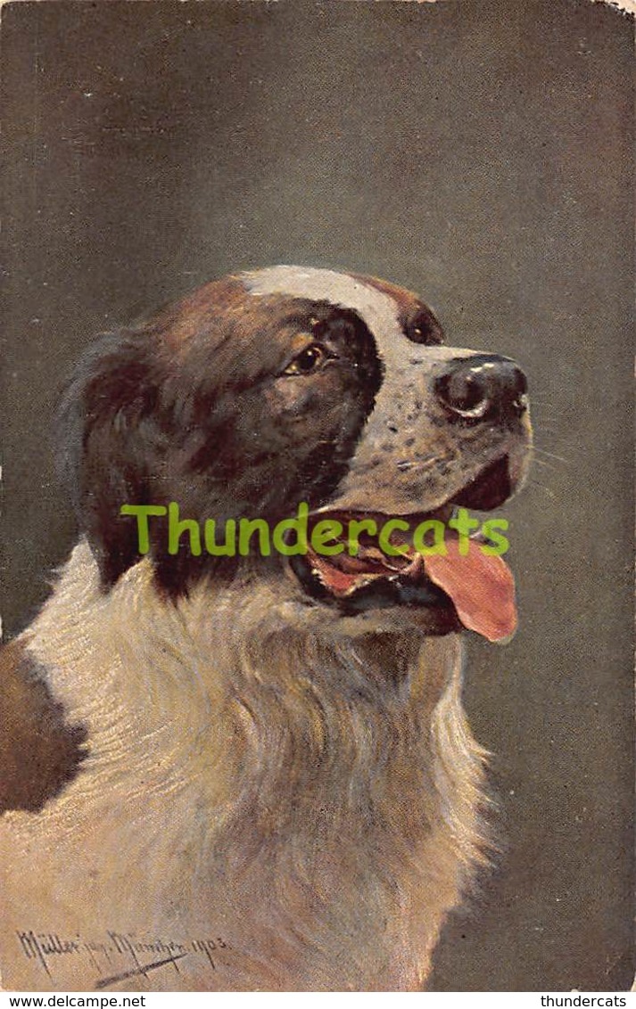 CPA ILLUSTRATEUR AUGUST MULLER MUNCHEN CHIEN ARTIST SIGNED DOG - Müller, August - München