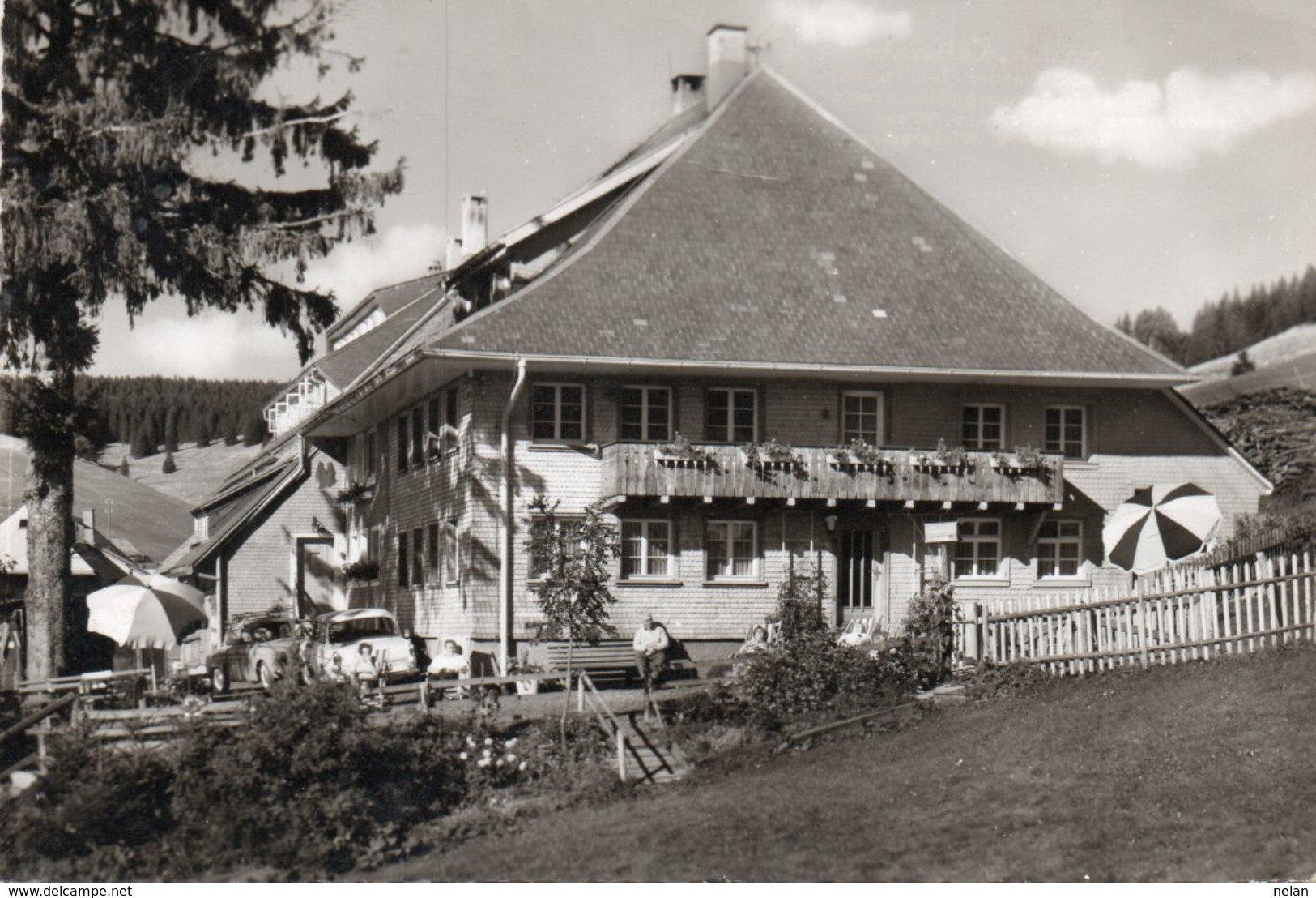 HAUS KEHRWIEDER-TODTNAUBERG-SCHWARZWALD-REAL PHOTO - Todtnau