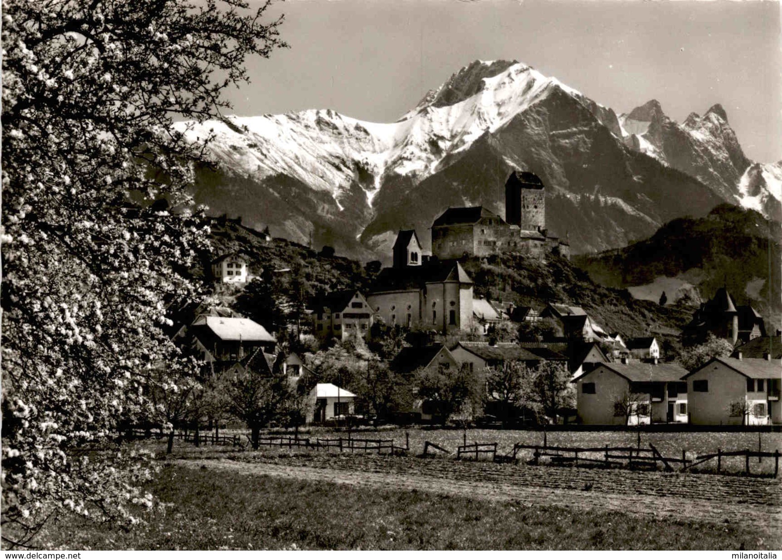 Sargans Mit Schloss U. Falknis (54-958) - Sargans