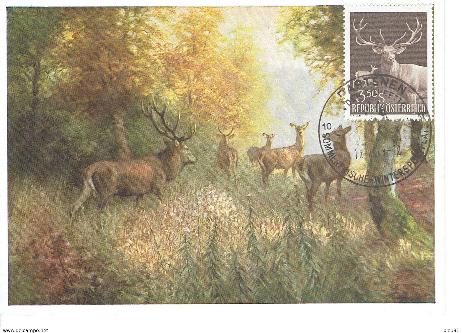 CARTE MAXIMUM  CERF - Cartes-Maximum (CM)