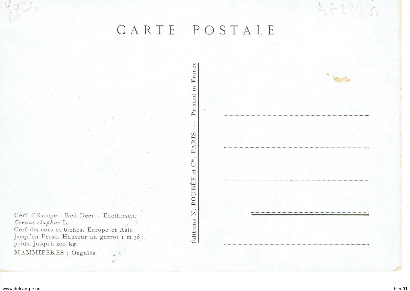 CARTE MAXIMUM  CERF 1958 - Covers & Documents