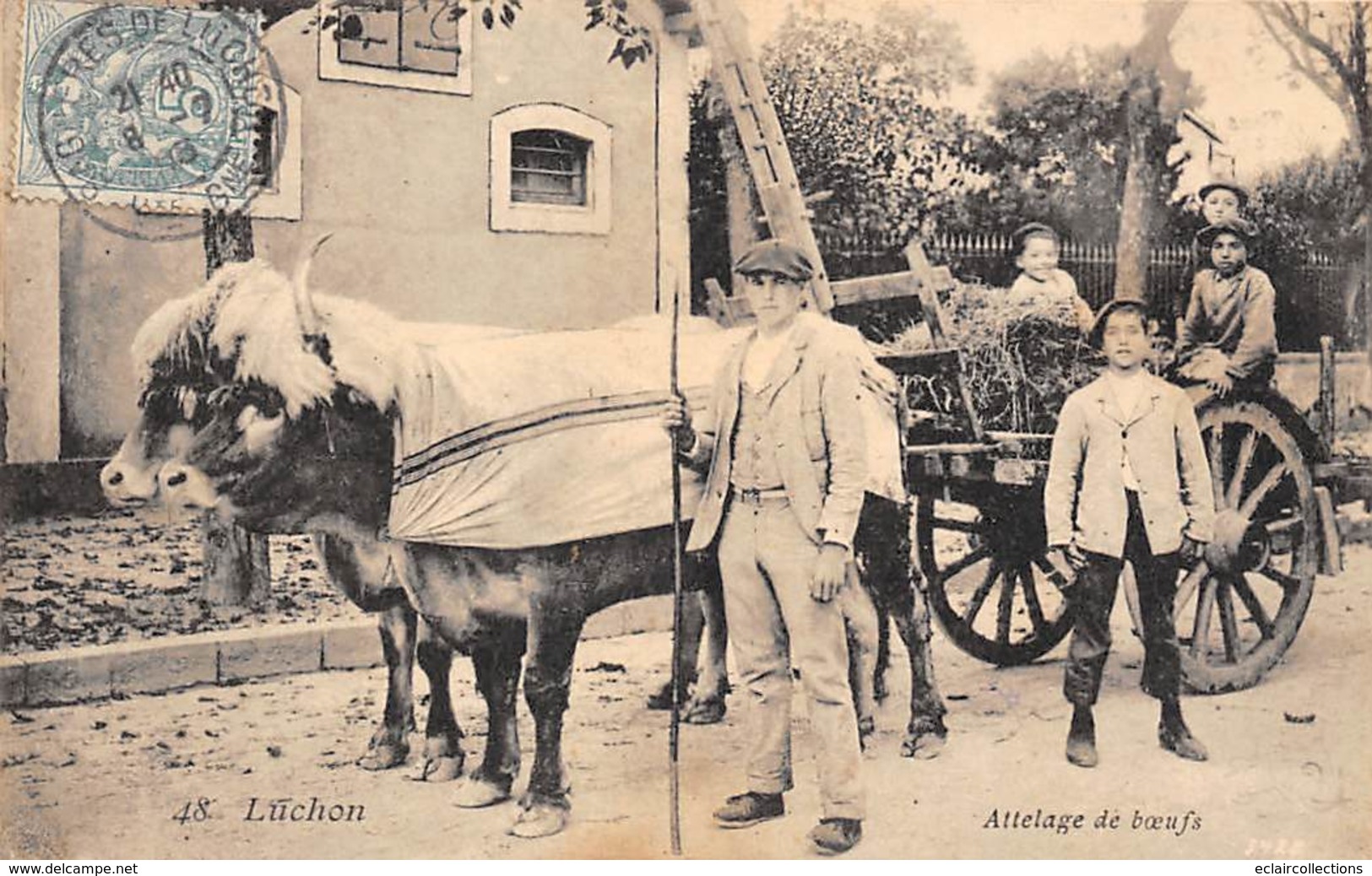 Luchon Superbagnères         31       Attelage De Bœufs             (Voir Scan) - Luchon