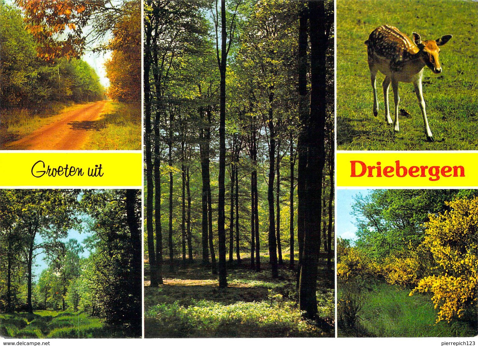 Driebergen - Multivues - Driebergen – Rijsenburg