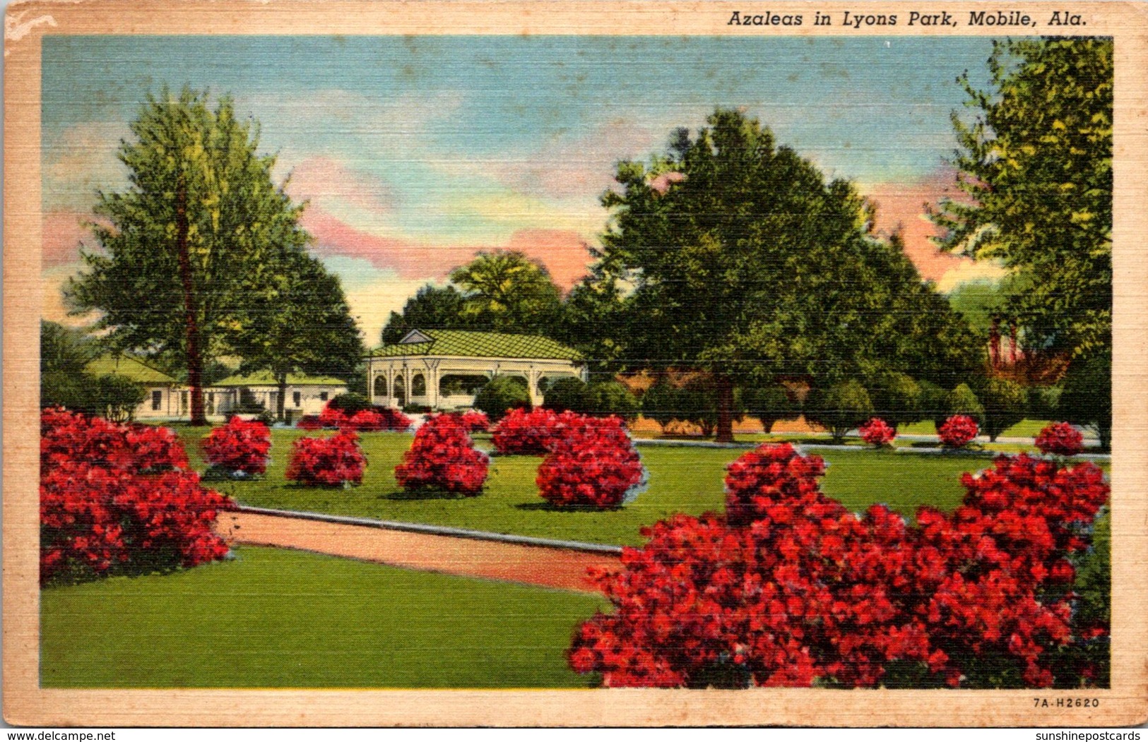Alabama Mobile Azaleas In Lyons Park 1957 Curteich - Mobile