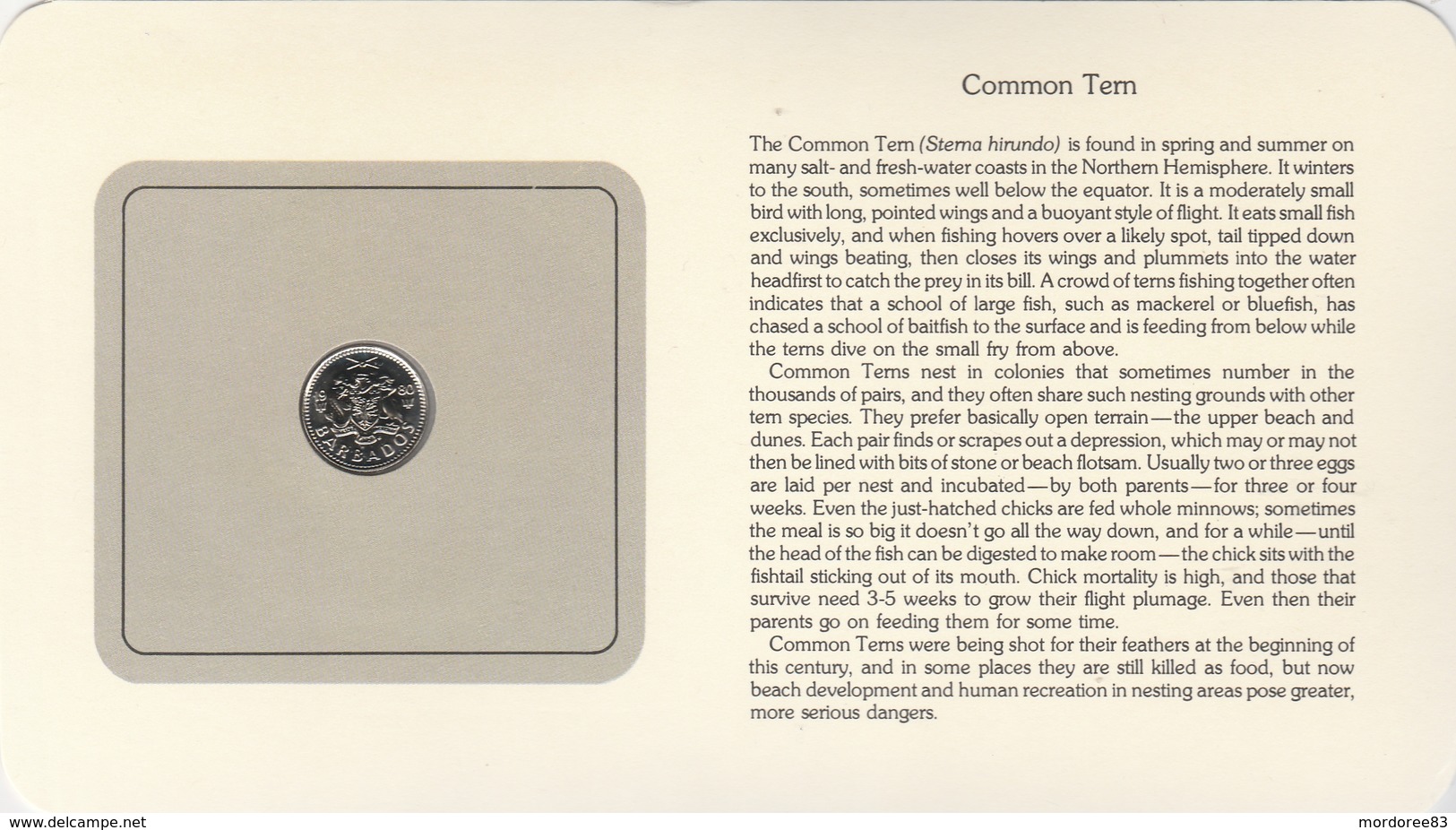 BIRD COINS OF THE WORLD - PIECES D OISEAUX - TEN CENTS - COMMON TERN - STERNE PIERREGARIN 1980 - Barbados