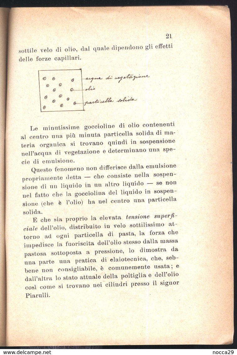 RELAZIONE DI PERIZIA PER  CAUSA INTENTATA DA IMPRENDITORE AGRICOLO A PROPRIETARIO DI FRANTOIO OLEARIO - 1916 - CORATO - Sonstige & Ohne Zuordnung