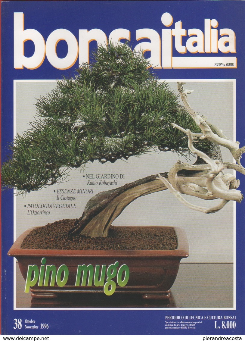 Bonsai Italia. N. 38. Ottobre/novembre 1996 - Casa, Giardino, Cucina