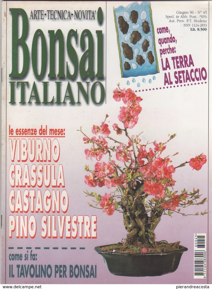 Bonsai Italiano. N. 45.  Giugno 1996 - Casa, Giardino, Cucina