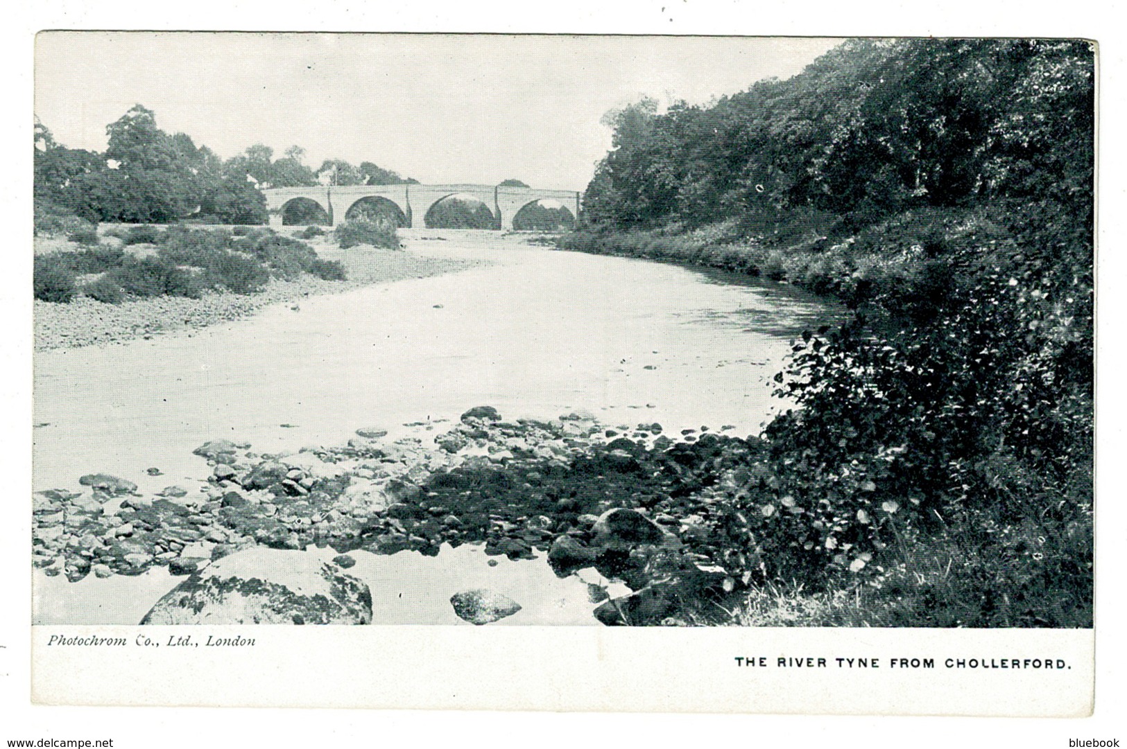 Ref 1362 - Postcard - The River Tyne From Chollerford Northumberland - Other & Unclassified