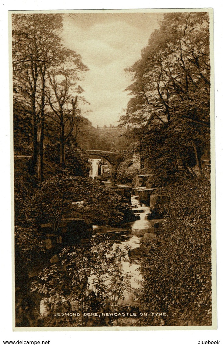 Ref 1363 - Early Postcard - Jesmond Dene - Newcastle On Tyne - Northumberland - Newcastle-upon-Tyne