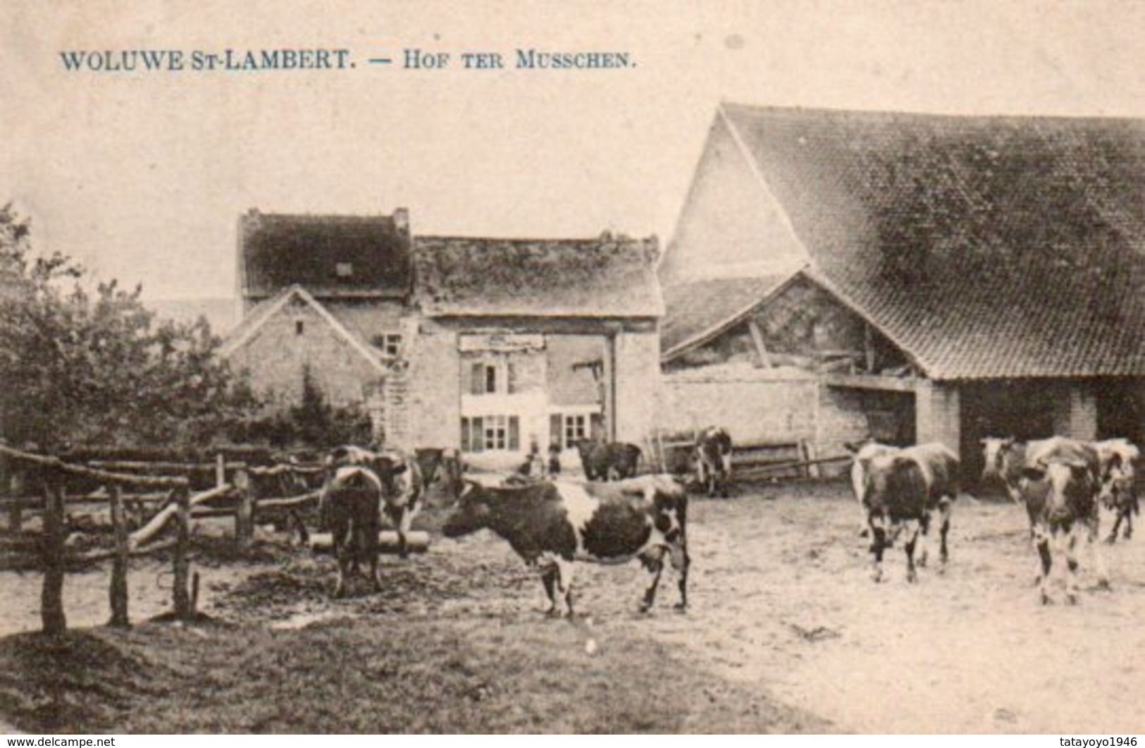 Woluwe St-Lambert  Hof Ter Musschen Circulé En 1909 - Woluwe-St-Lambert - St-Lambrechts-Woluwe