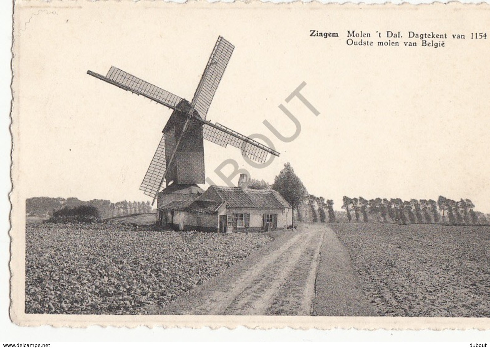 Postkaart-Carte Postale KRUISHOUTEM - ZINGEM Molen 't Dal - Oudste Molen Van België (B267) - Kruishoutem