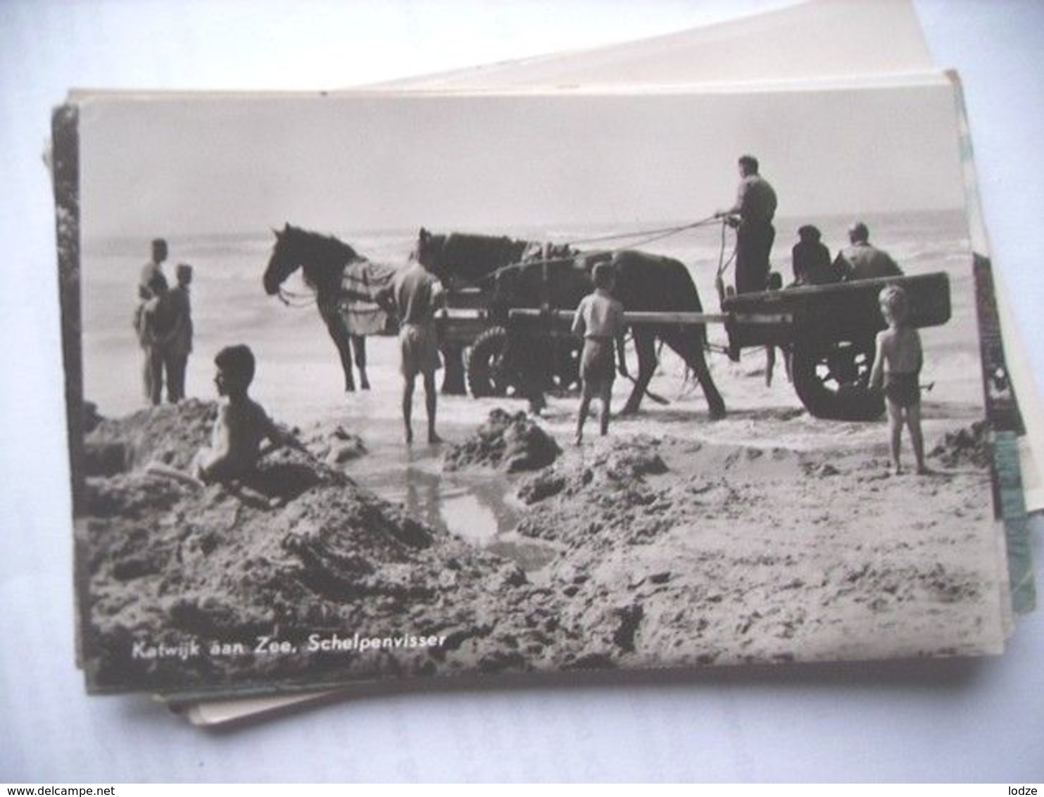 Nederland Holland Pays Bas Katwijk Aan Zee Met Schelpenvisser - Katwijk (aan Zee)