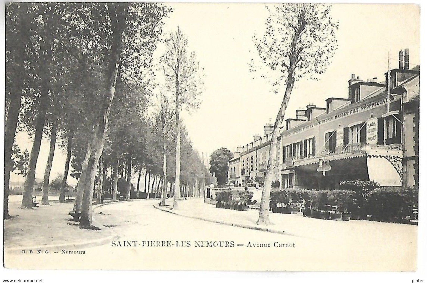 SAINT PIERRE LES NEMOURS - Avenue Carnot - Saint Pierre Les Nemours