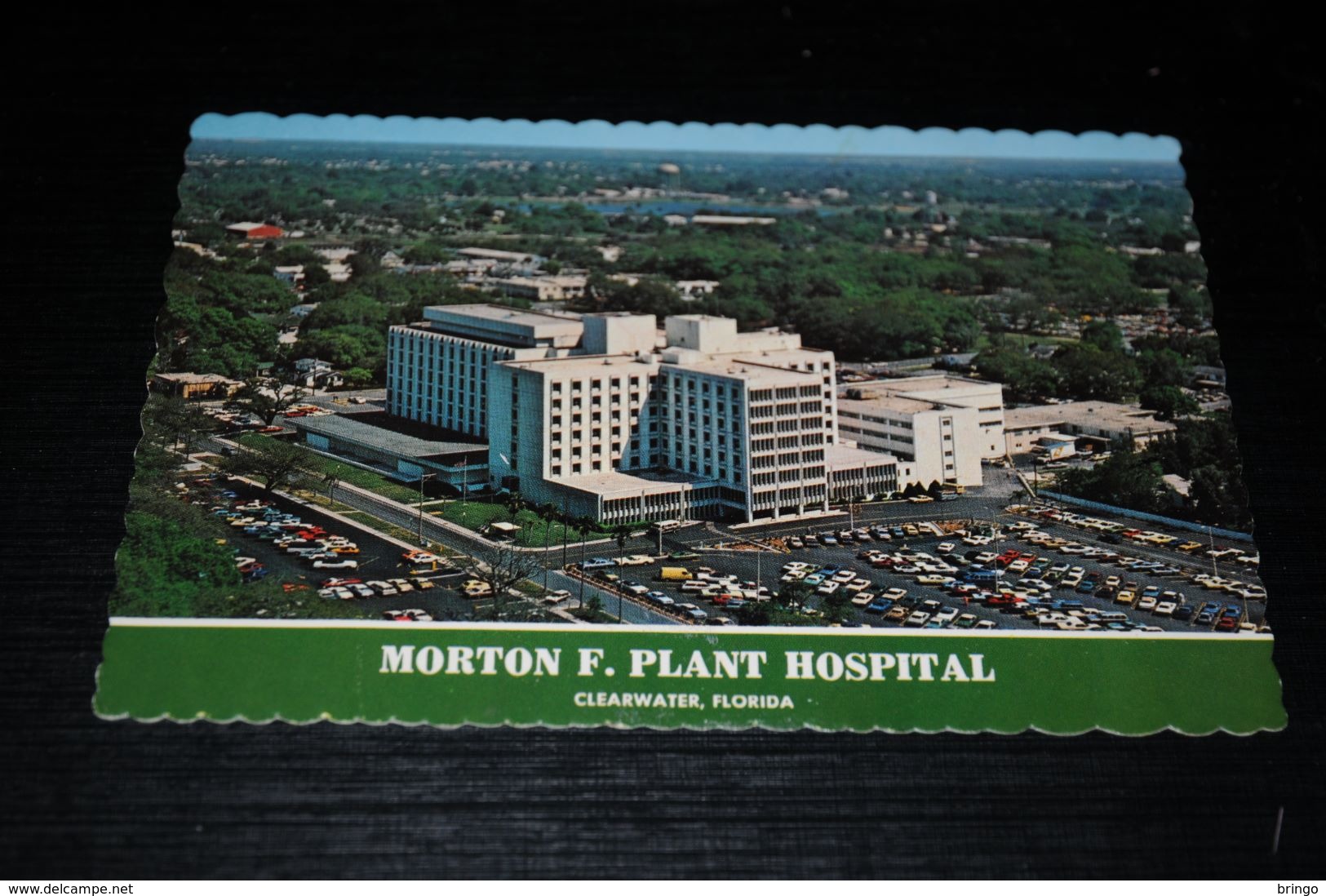 14240           FLORIDA, CLEARWATER, MORTON F. PLANT HOSPITAL - Clearwater