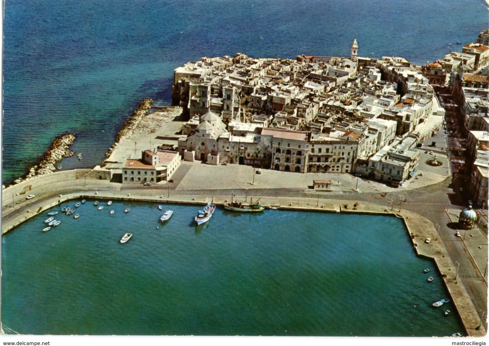 MOLFETTA  BARI  Città Vecchia Panorama - Molfetta