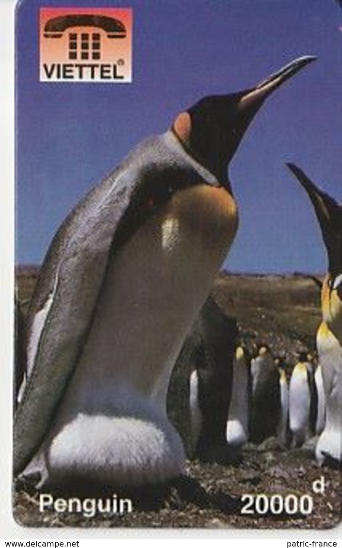 Viet-Nam - Manchots Royaux - Pinguins