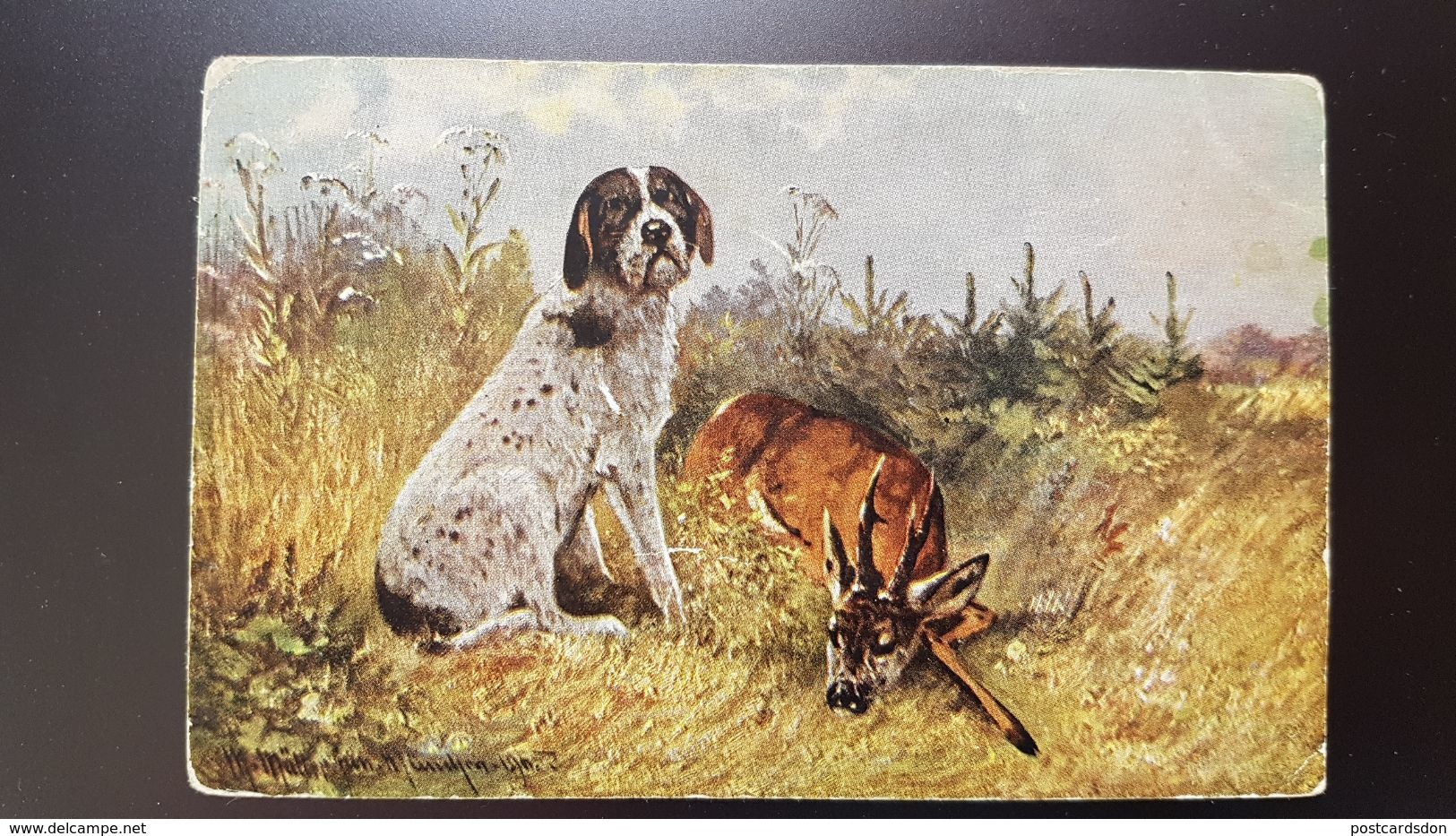 CHASSE - Cerf - Dog - Muller - Old Vintage Art Postcard 1910s Hunting / Chasse - Müller, August - München