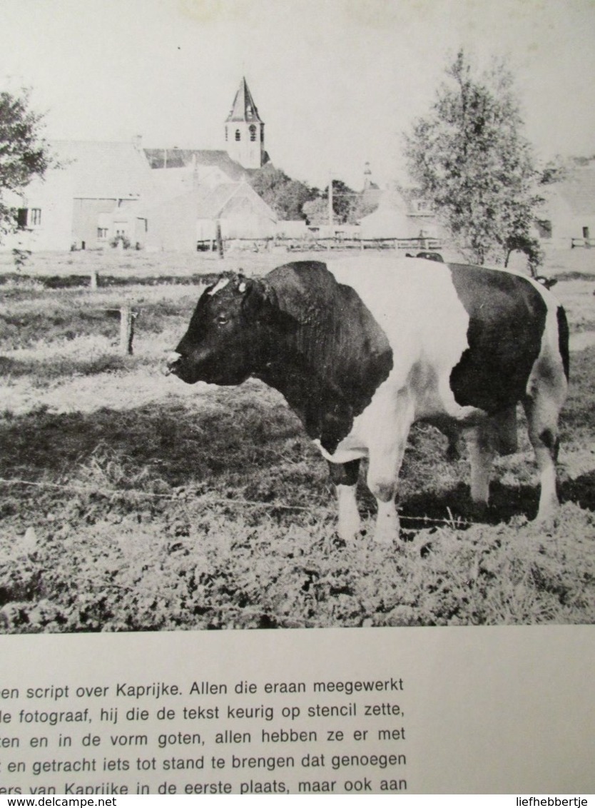 Kaprijke ... Van Gisteren Tot Morgen - Histoire