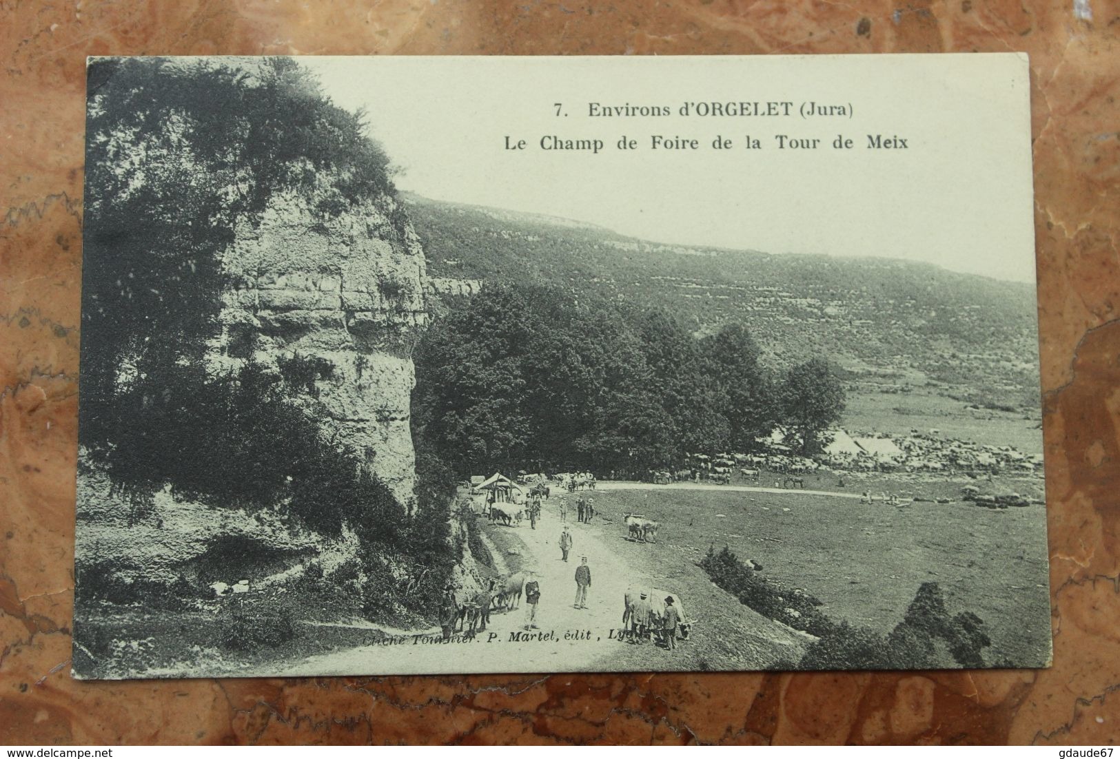 ORGELET (39) - ENVIRONS - LE CHAMP DE LA FOIRE DE LA TOUR DE MEIX - Orgelet