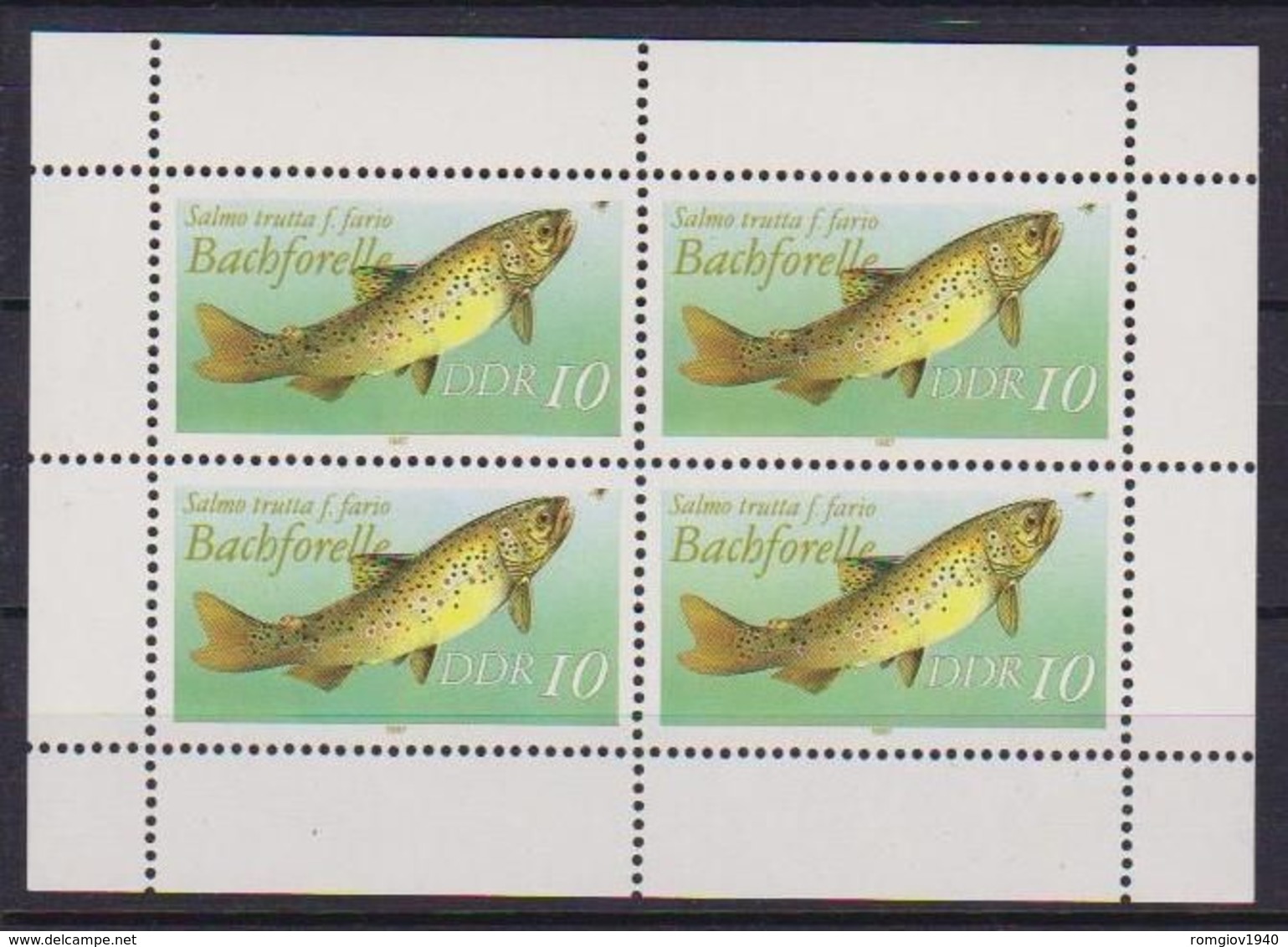 GERMANIA DEMOCRATICA DDR FOGLIETTI 1987 PESCI D'ACQUA DOLCE UNIF. 3096 MNH XF(MINIFOGLIO DA 4) - 1. Tag - FDC (Ersttagblätter)