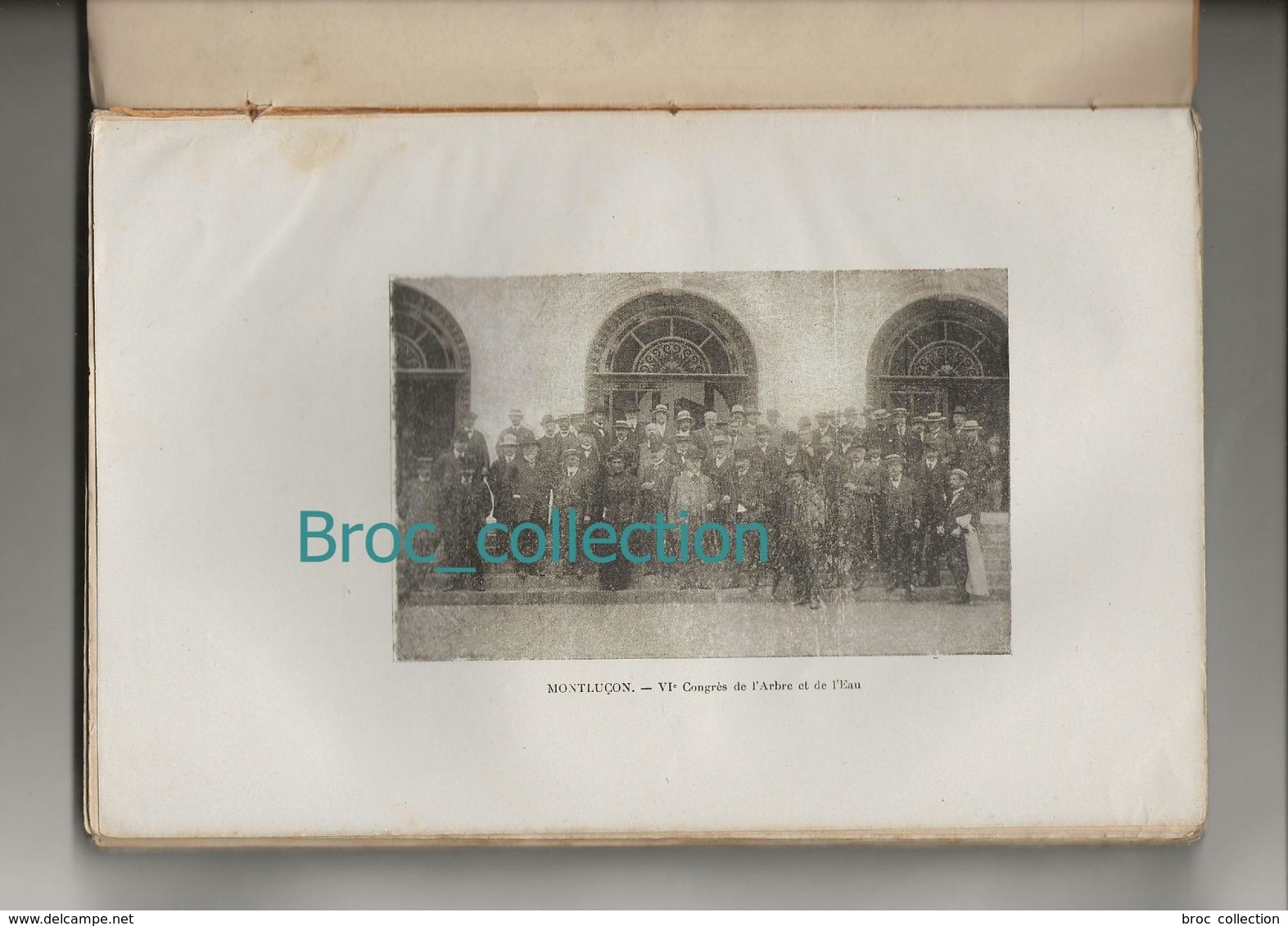 L'Arbre Et L'Eau, 6e Congrès Société Gay-Lussac De Limoges à Montluçon, 1912, Sylviculture, Tronçais, Rochebut - Bourbonnais