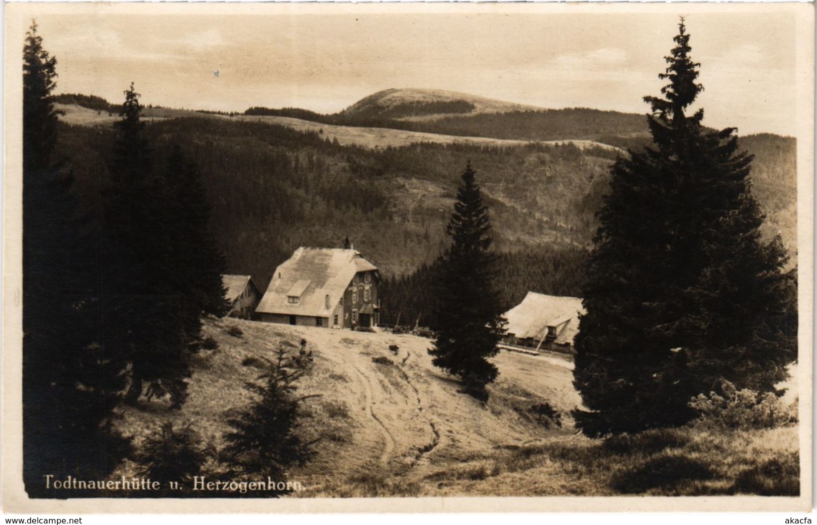 CPA AK Todtnauerhutte U. Herzogenhorn GERMANY (969991) - Todtnau