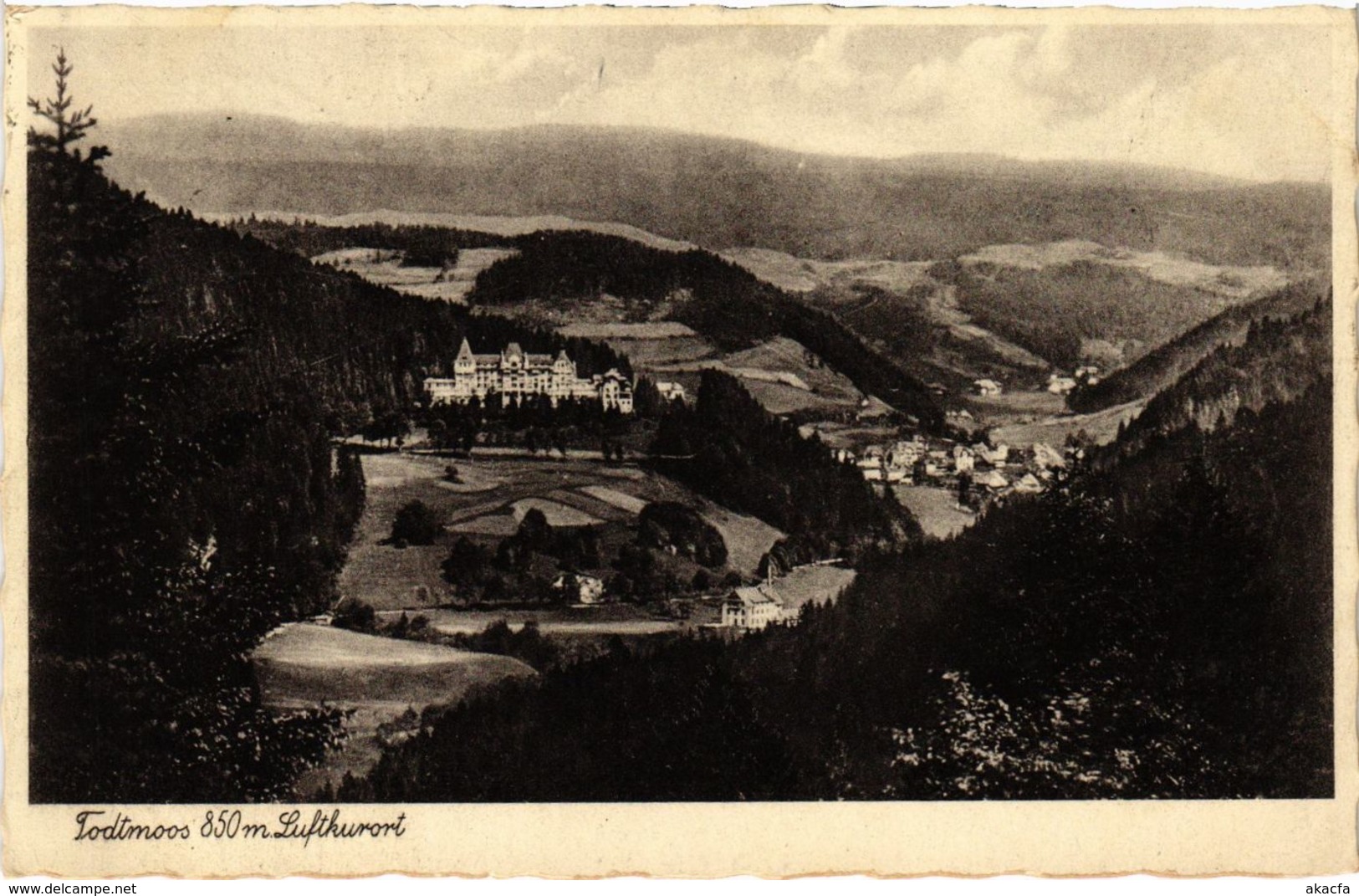 CPA AK Todtmoos - Panorama GERMANY (1030043) - Todtmoos