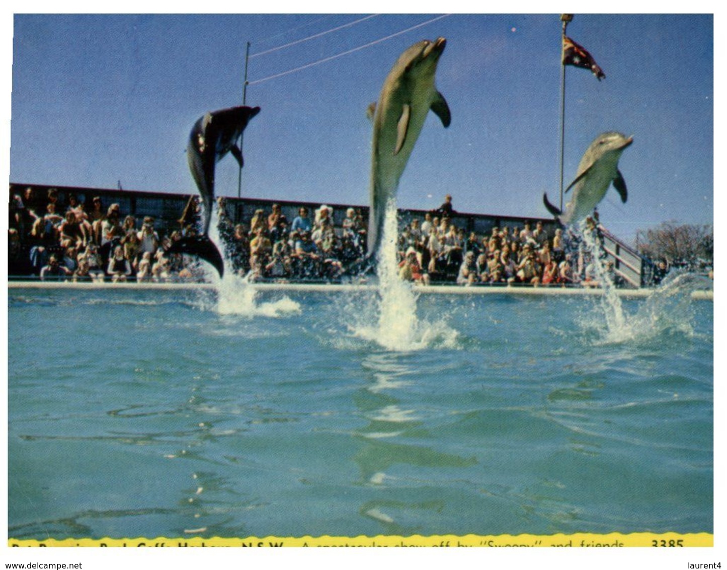 (A 27) Australia - NSW - Coff Harbour Pet Porpoise / Dolphin - Coffs Harbour