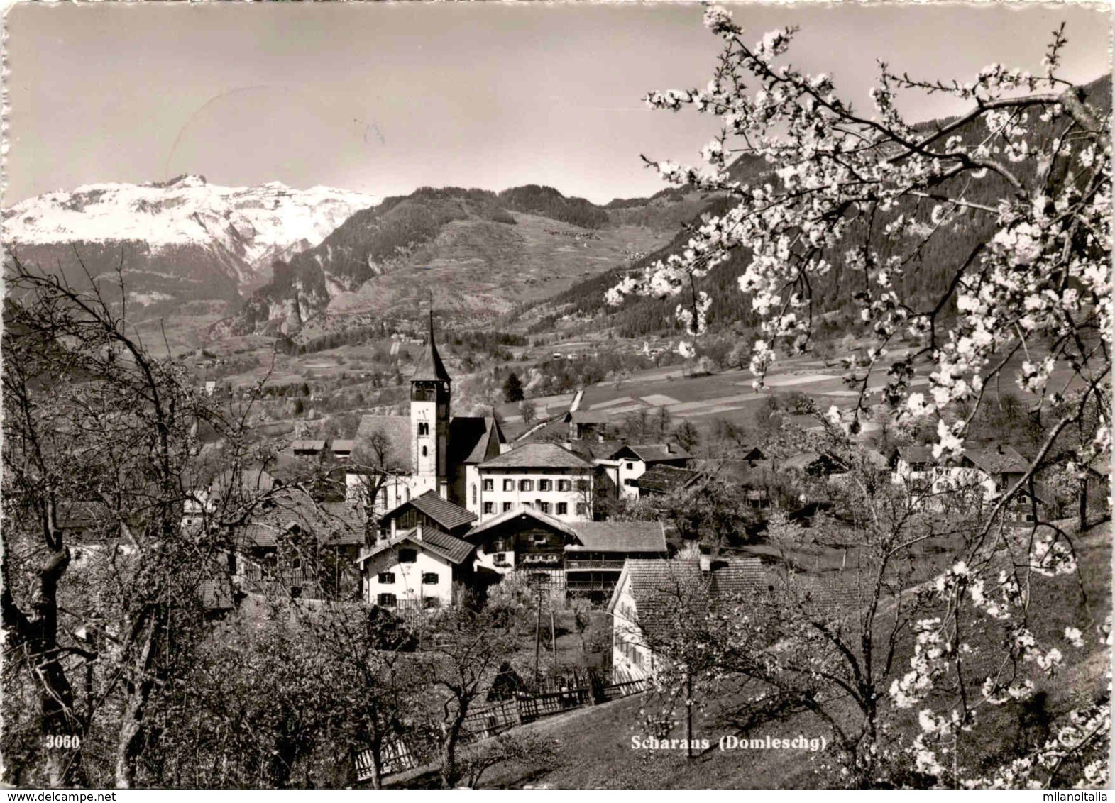 Scharans (Domleschg) (3060) * 7. 4. 1952 (b) - Domleschg