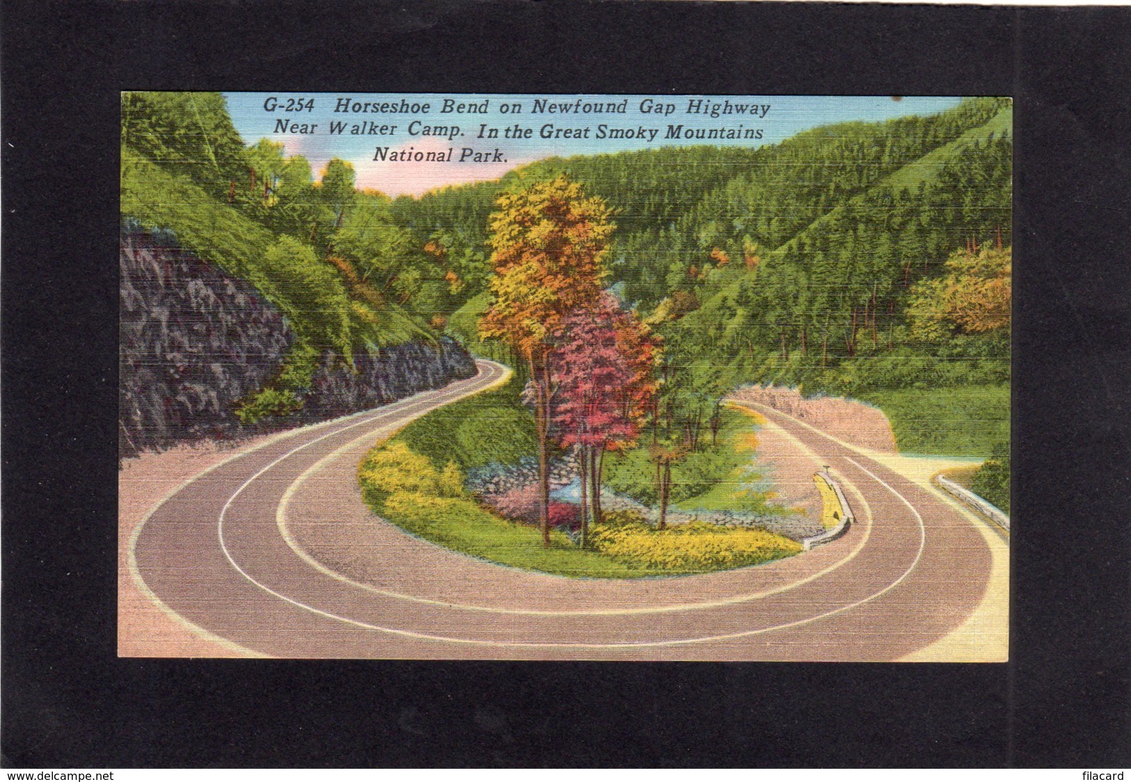 95070   Stati  Uniti,  Horseshoe Bend On Newfound Gap Highway Near Walker Camp, Great Smoky Mountains National Park, NV - Smokey Mountains