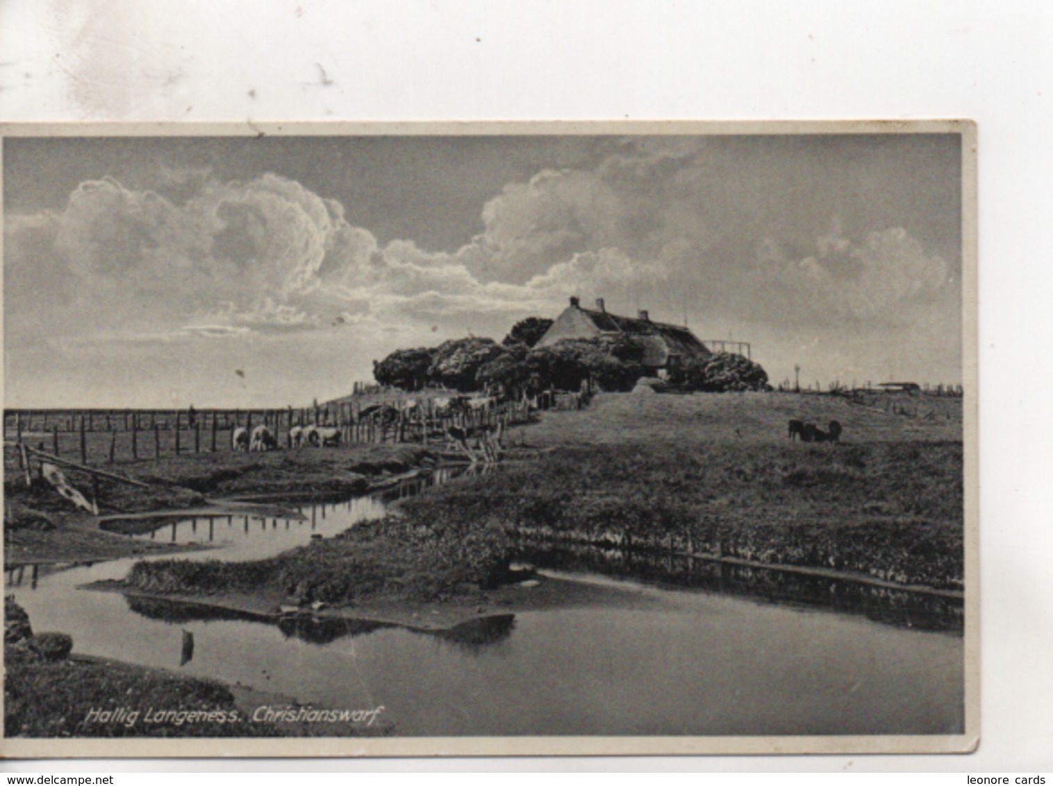 .CPA.Allemagne.Hallig Langeness.Christianswarf. - Halligen