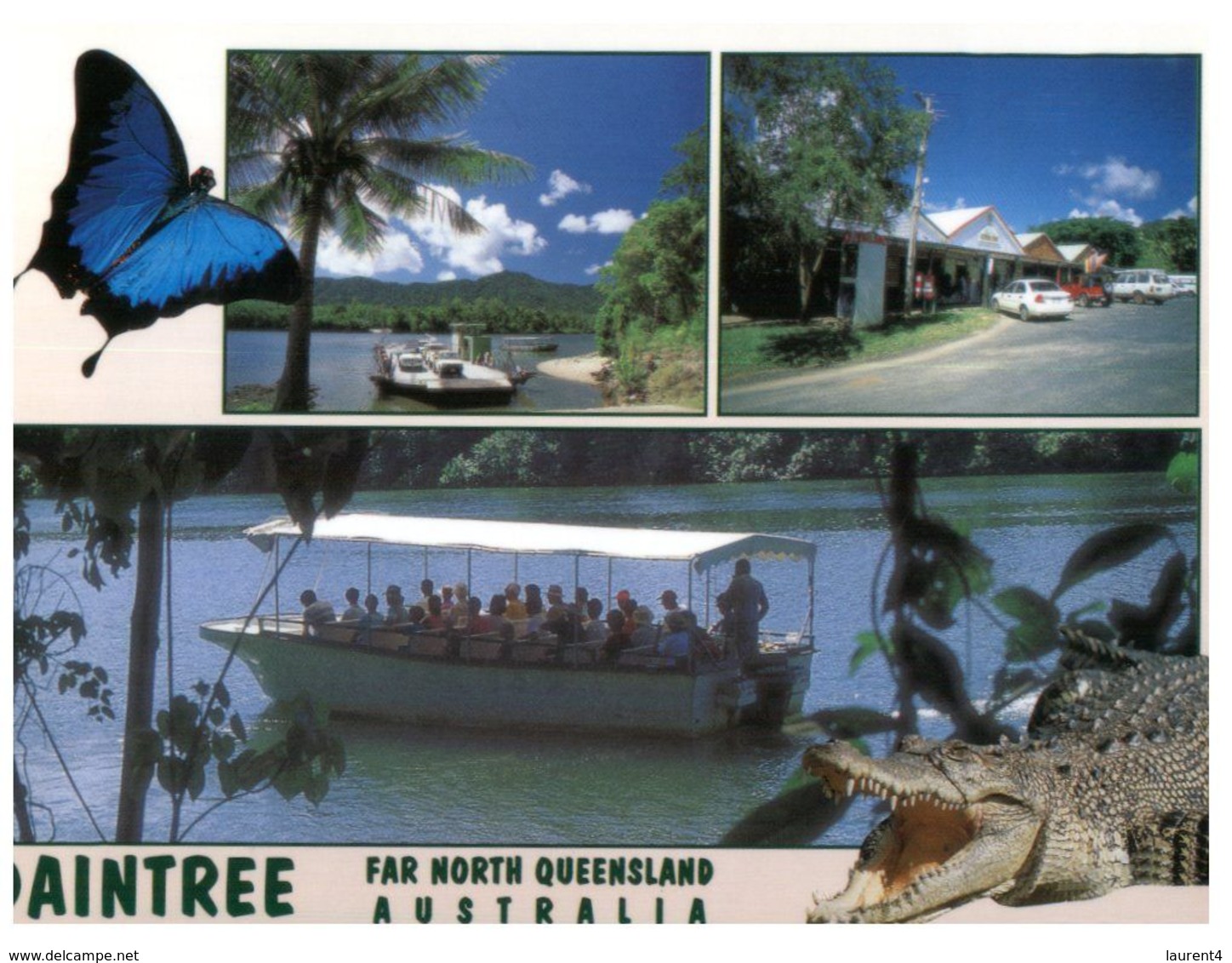 (B 11) Australia - QLD - Daintree With Crocodile - Far North Queensland