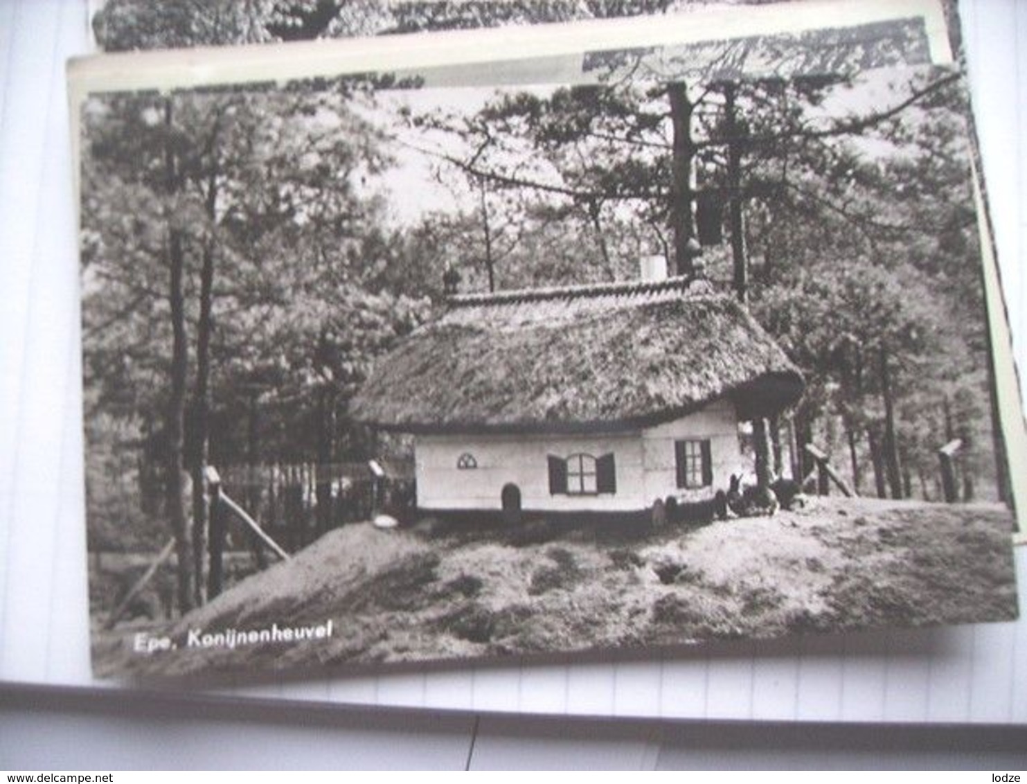 Nederland Holland Pays Bas Epe Met Huisje Konijnenheuvel - Epe