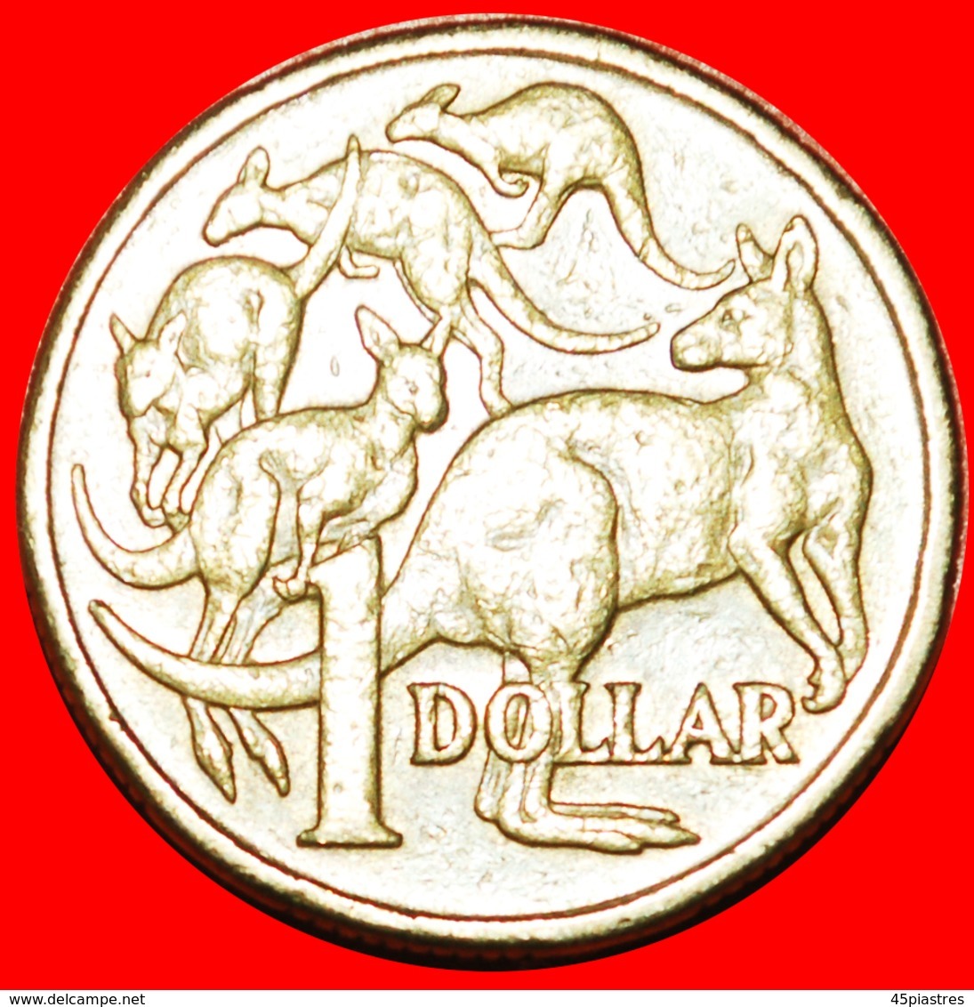 * 5 KANGAROOS: AUSTRALIA ★ 1 DOLLAR 1984! YEAR=TYPE! LOW START ★ NO RESERVE! - Dollar