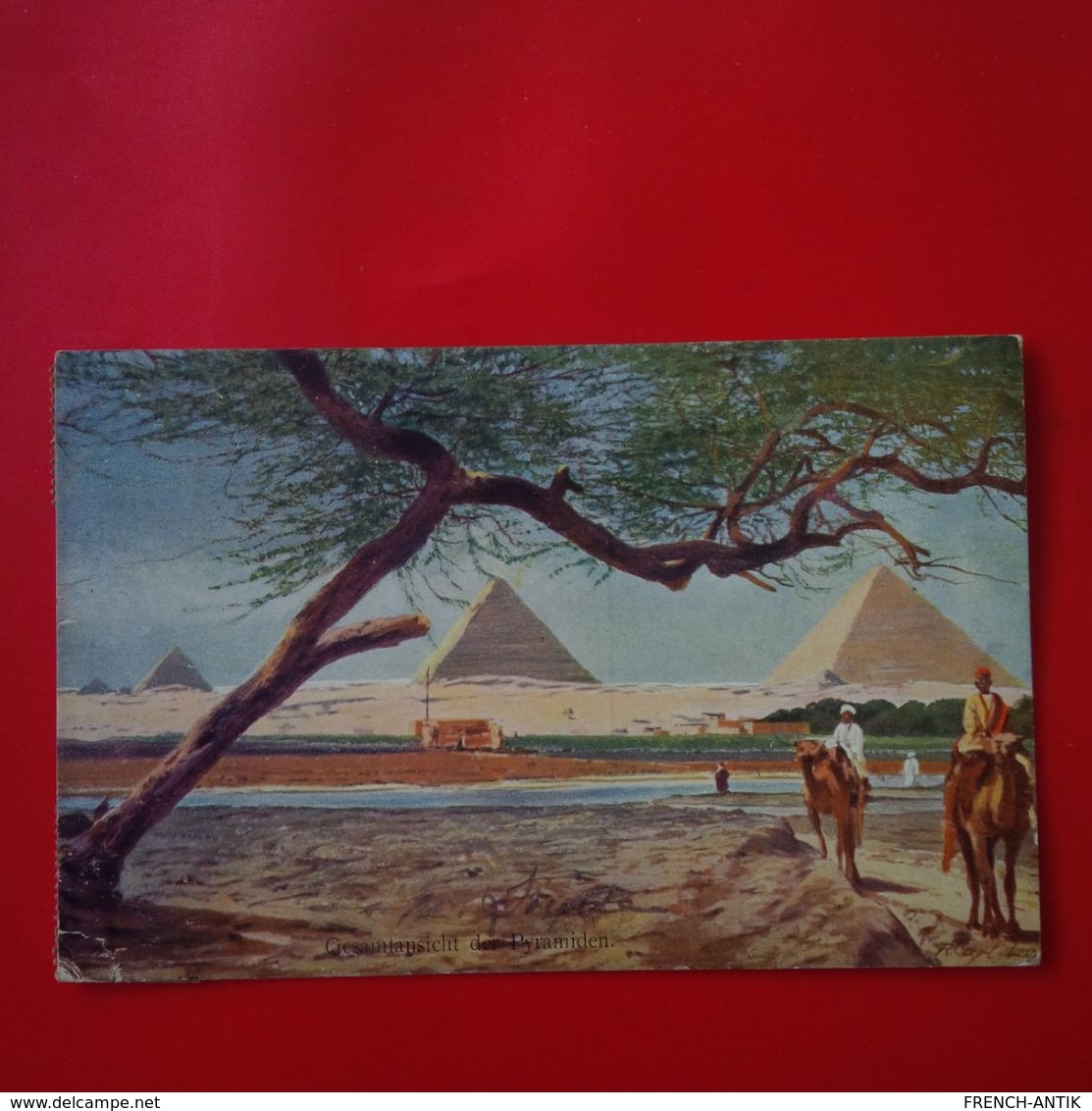 VUE GENERALE DES PYRAMIDES - Pyramids