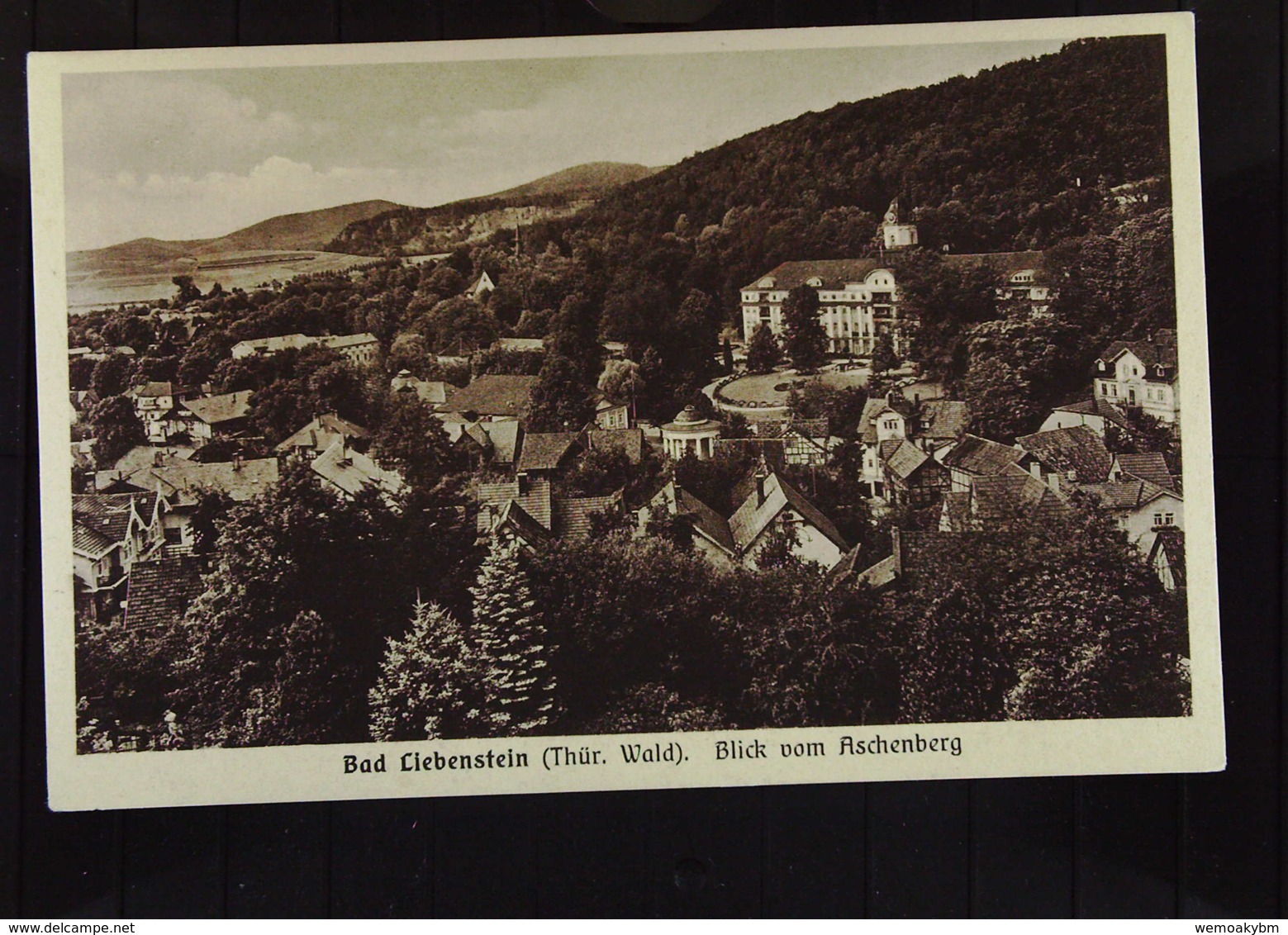 AK Von Bad Liebenstein S/w - Blick Vom Aschenberg Im Thüringer Wald - Bad Liebenstein