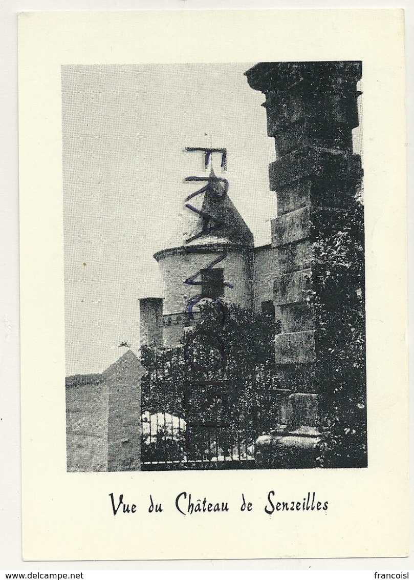 Vue Du Château De Senzeilles. 1977. Musée De Cerfontaine - Cerfontaine