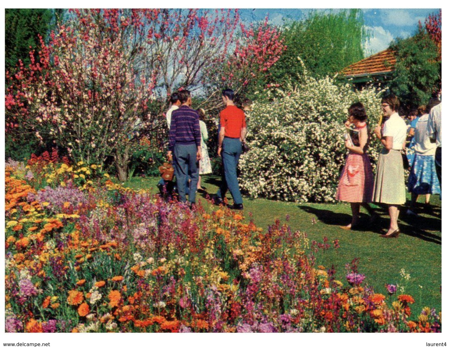 (C 5) Australia - QLD - Toowoomba Carnivel Of Flowers - Towoomba / Darling Downs