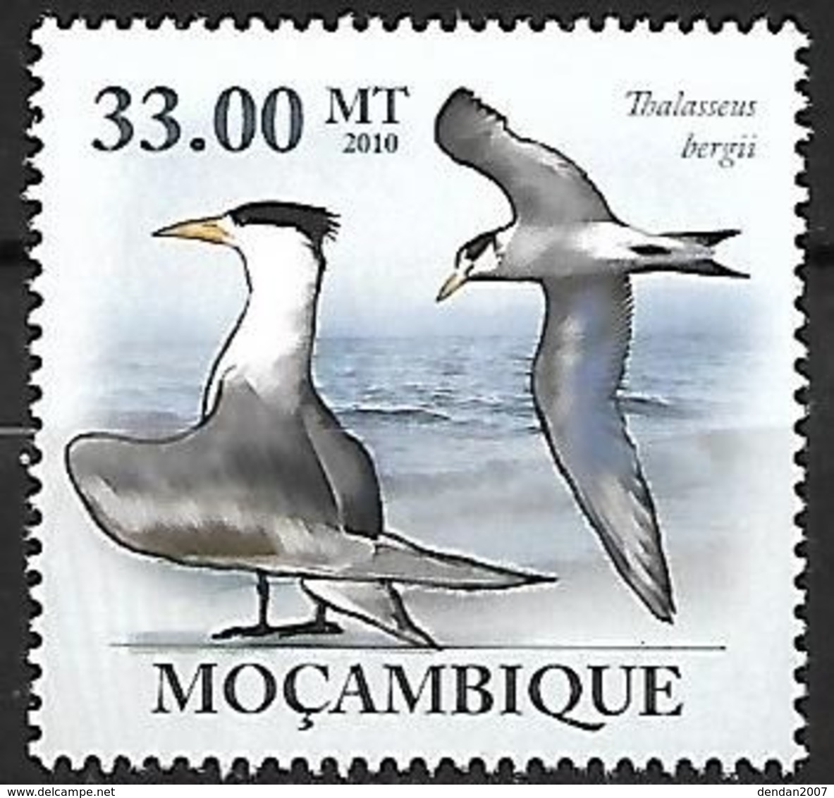 Mozambique - MNH 2010 :   Greater Crested Tern  -  Thalasseus Bergii - Mouettes