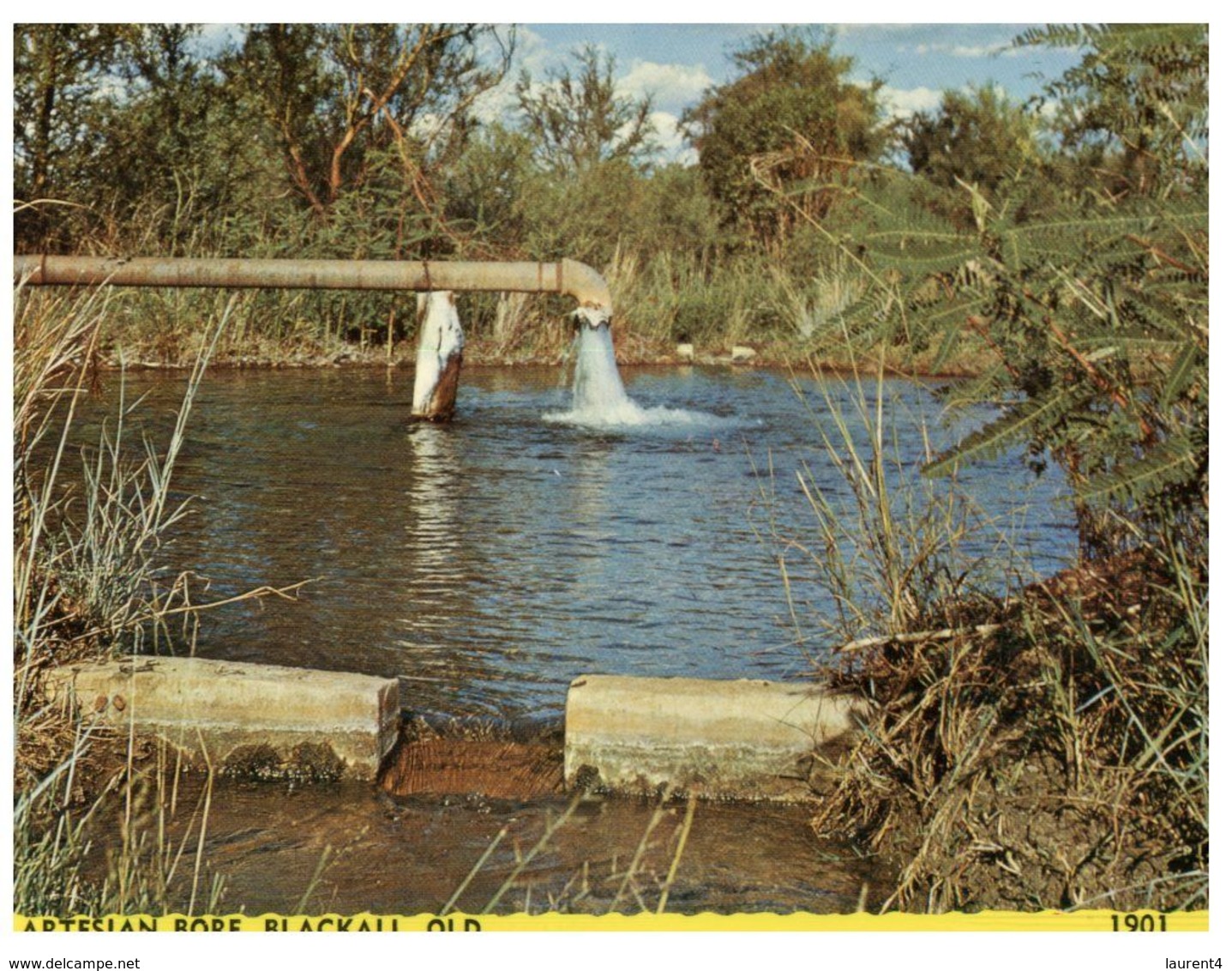 (D 5) Australia - QLD - Blackall Artesian Bore - Far North Queensland