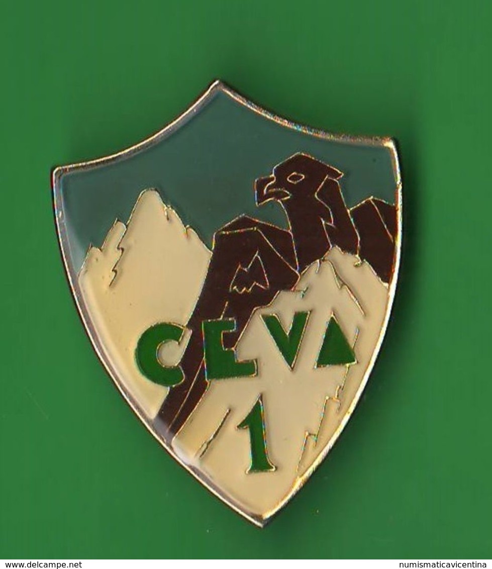 ALPINI CEVA 1° Battaglione Alpino Spilla / Pin Anni 80 - Italien