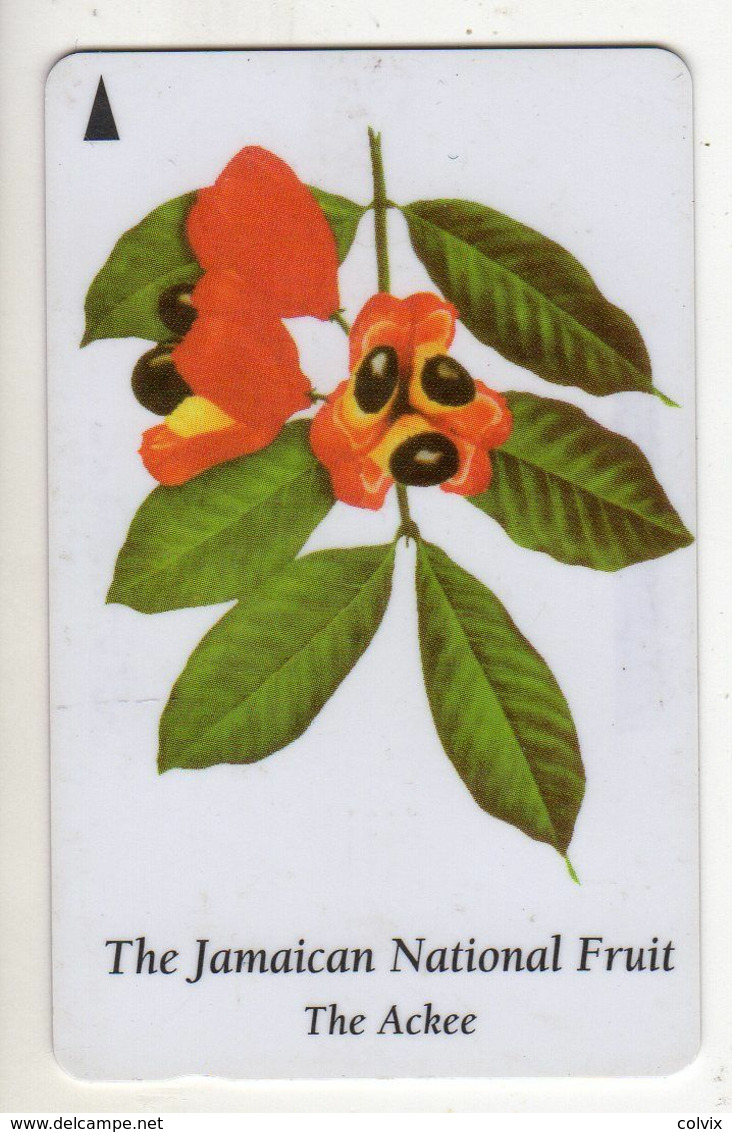 JAMAIQUE TELECARTE REF MV CARD JAM-120A $50 CN120JAMA FRUIT ACKEE DATE 1996 - Jamaïque