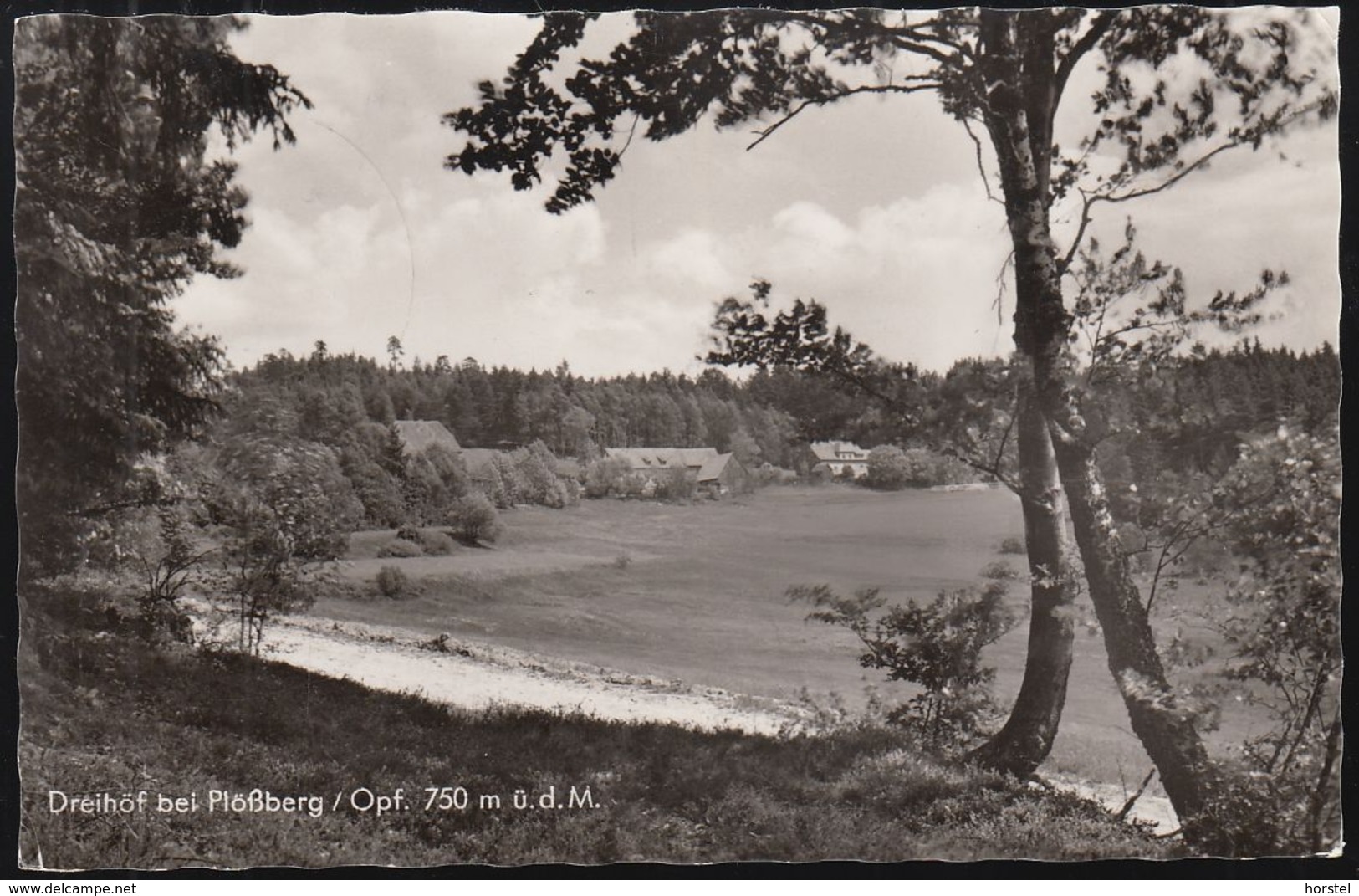 D-95703 Dreihöf Bei Plößberg Opf. - Alte Ansicht Um 1958 - Tirschenreuth