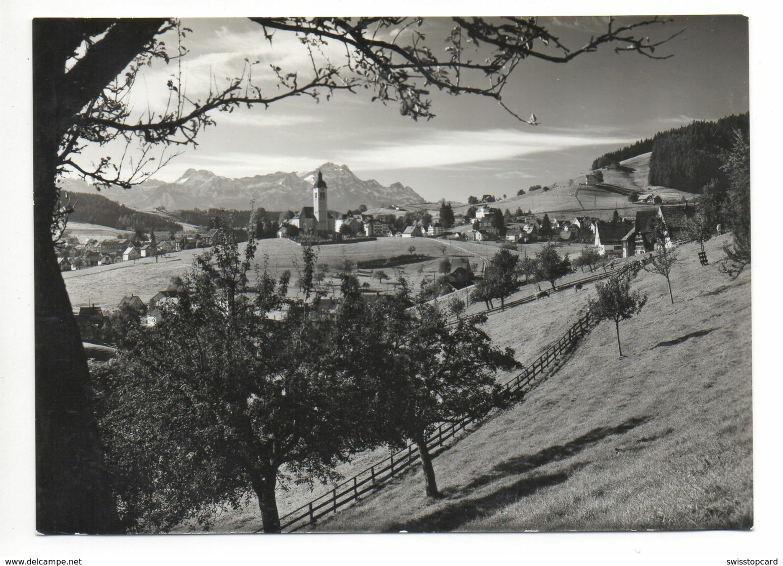 SPEICHER AR Obere Kohlhalden Blick Zum Säntis - Speicher