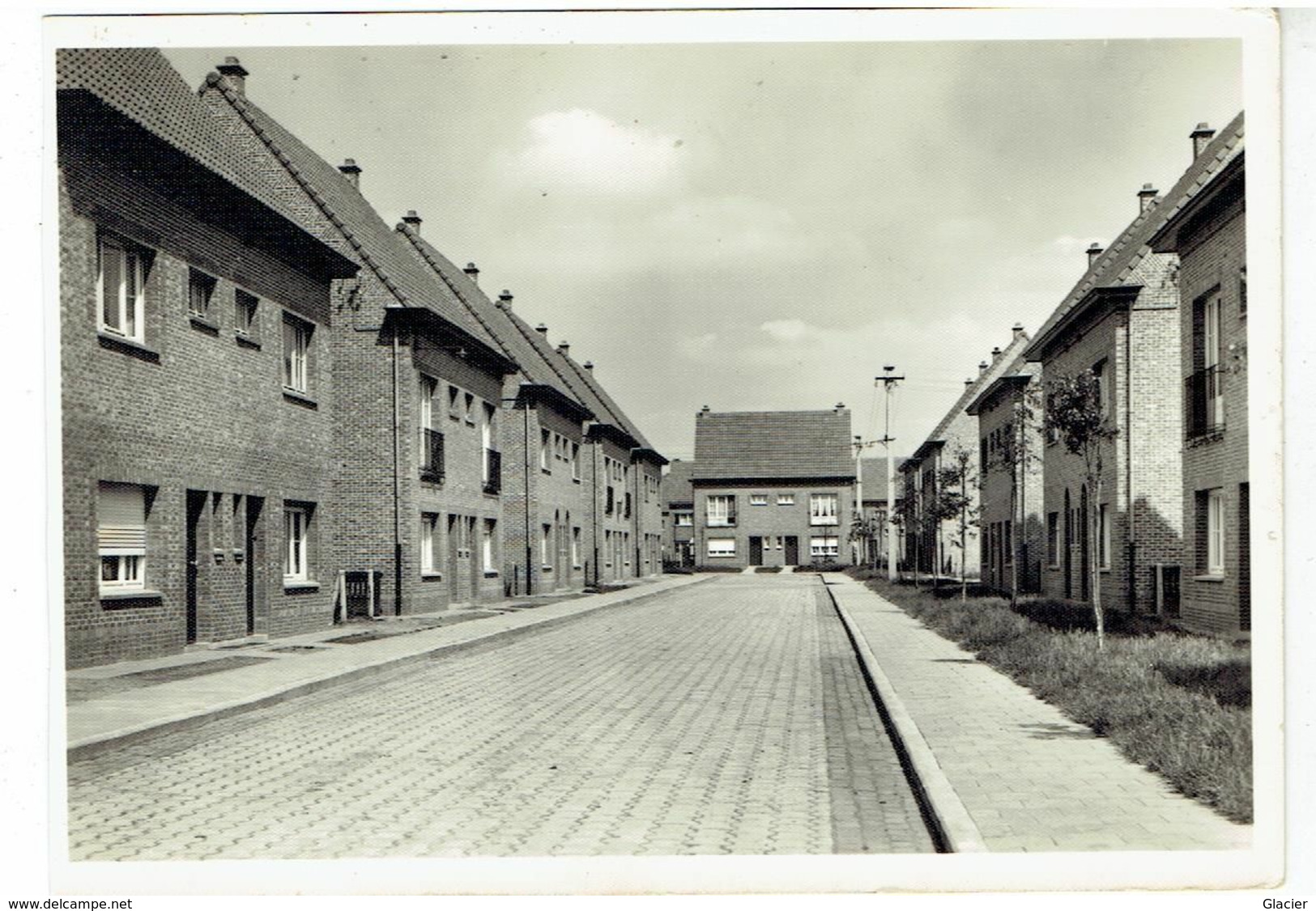 ZELE - Burgemeester Van Ackerwijk - Foto E. De Smet - Zele